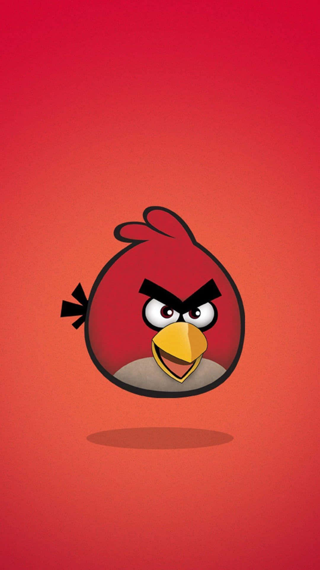 Angry Bird Red Character Illustration Background