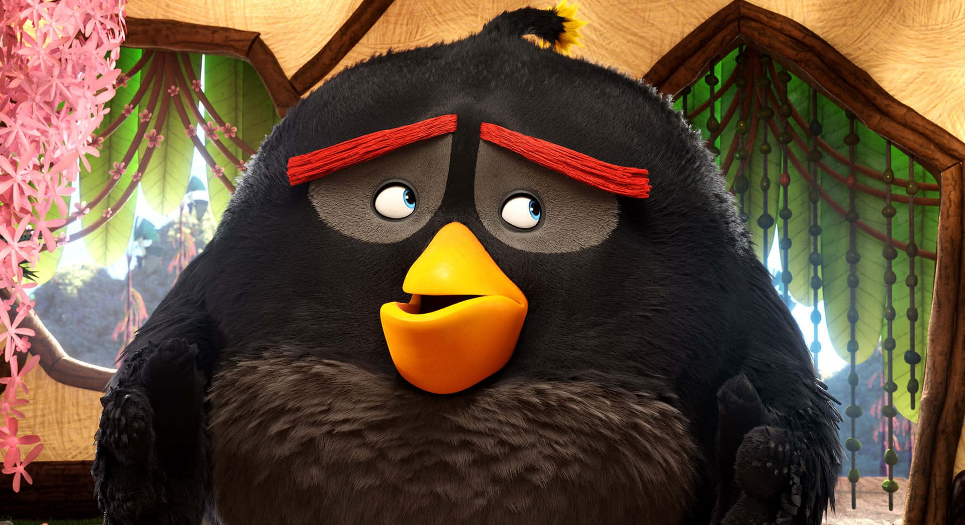 Angry Birds Black Bird Bomb Character Background