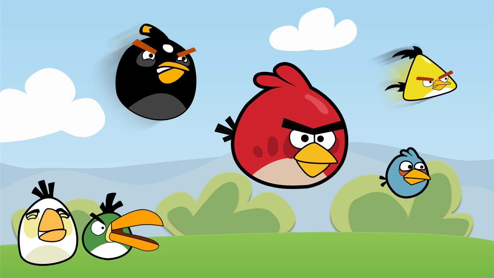 Angry Birds Characters Flyingand Ground Background