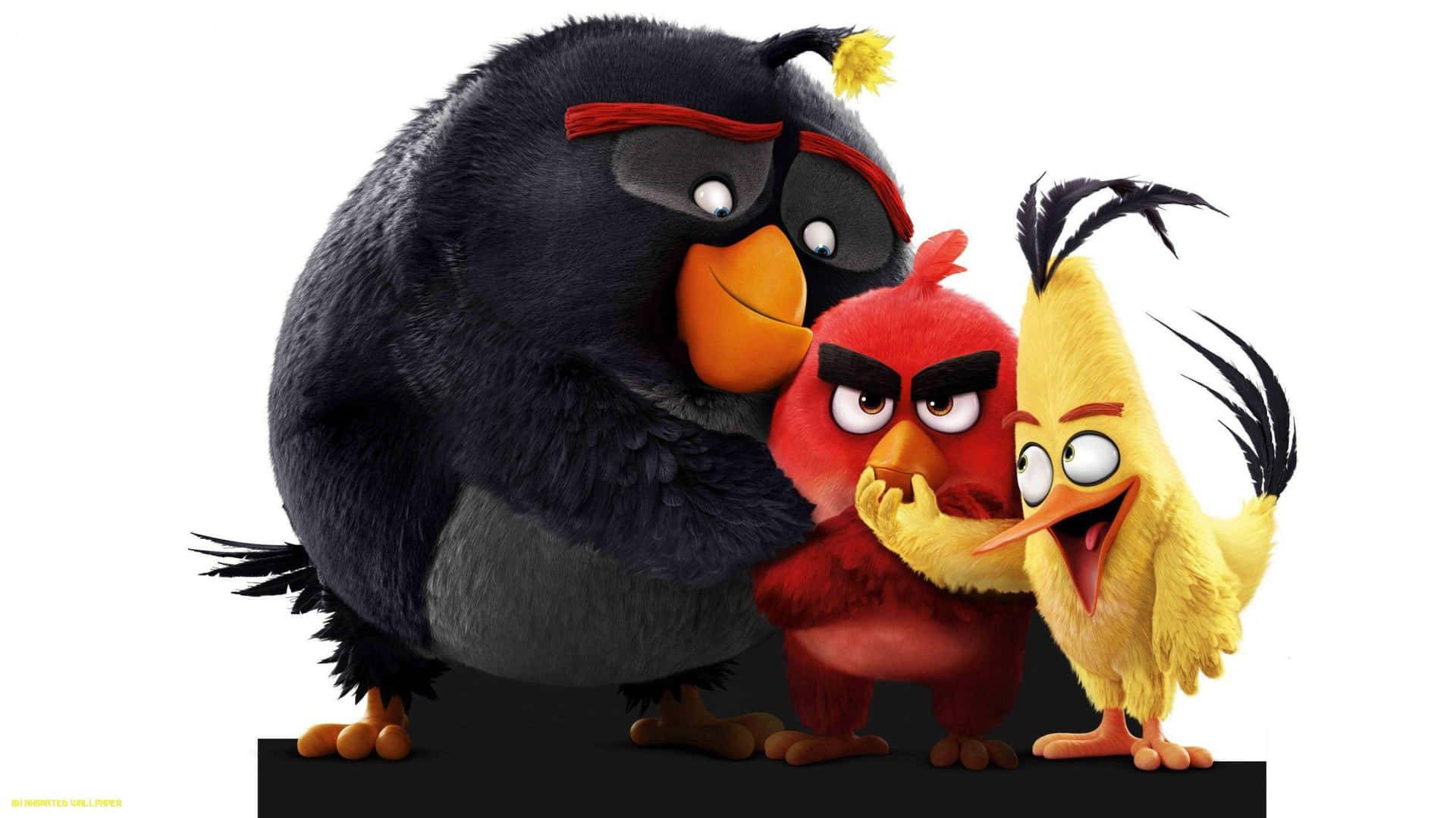 Angry Birds Characters Group Pose Background