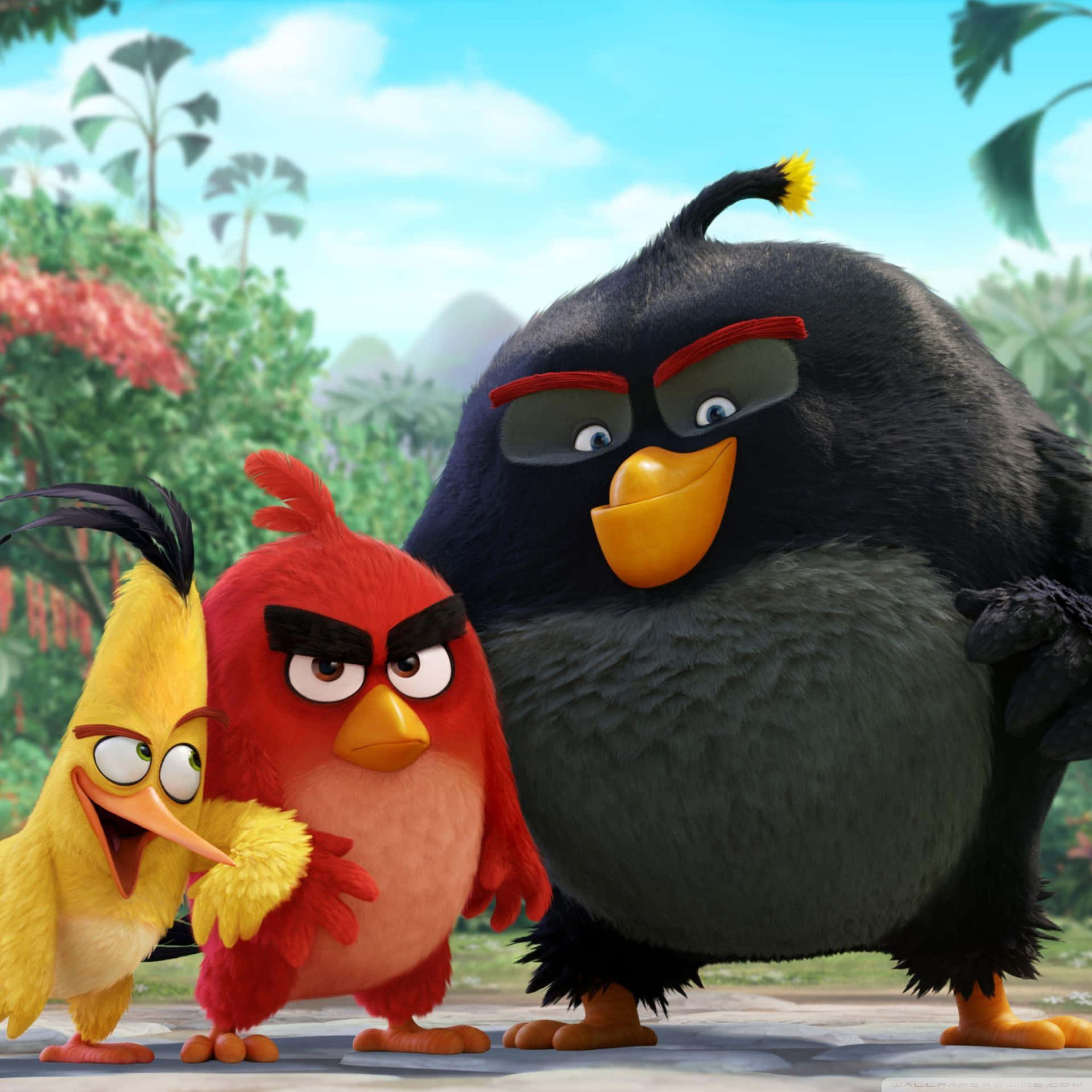 Angry Birds Characters Group Shot