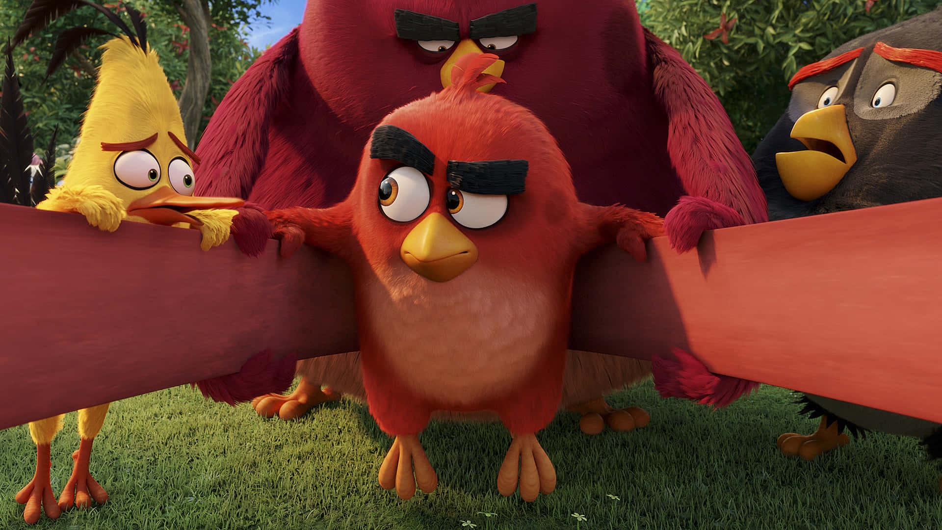 Angry Birds Characters Readyfor Action Background