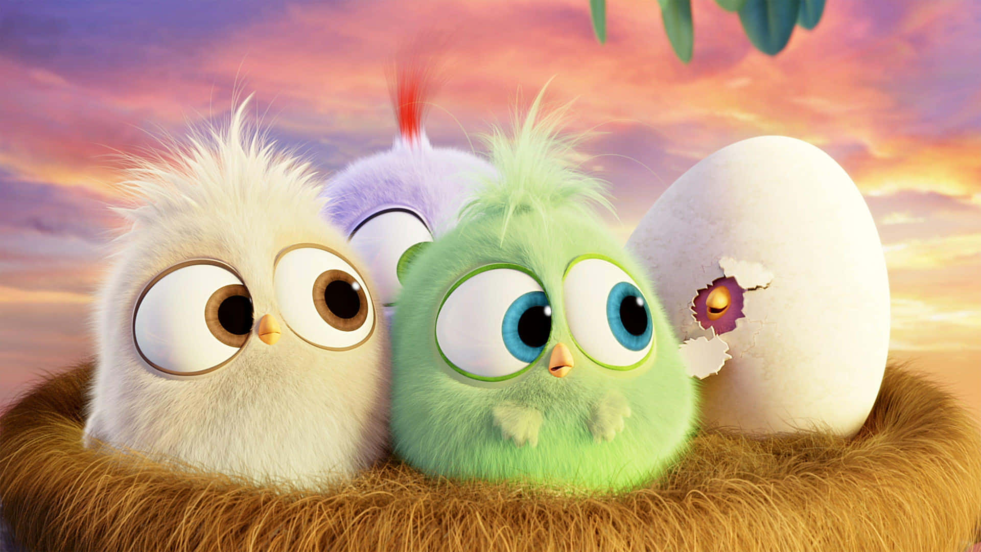 Angry Birds Hatchlingsin Nest Background