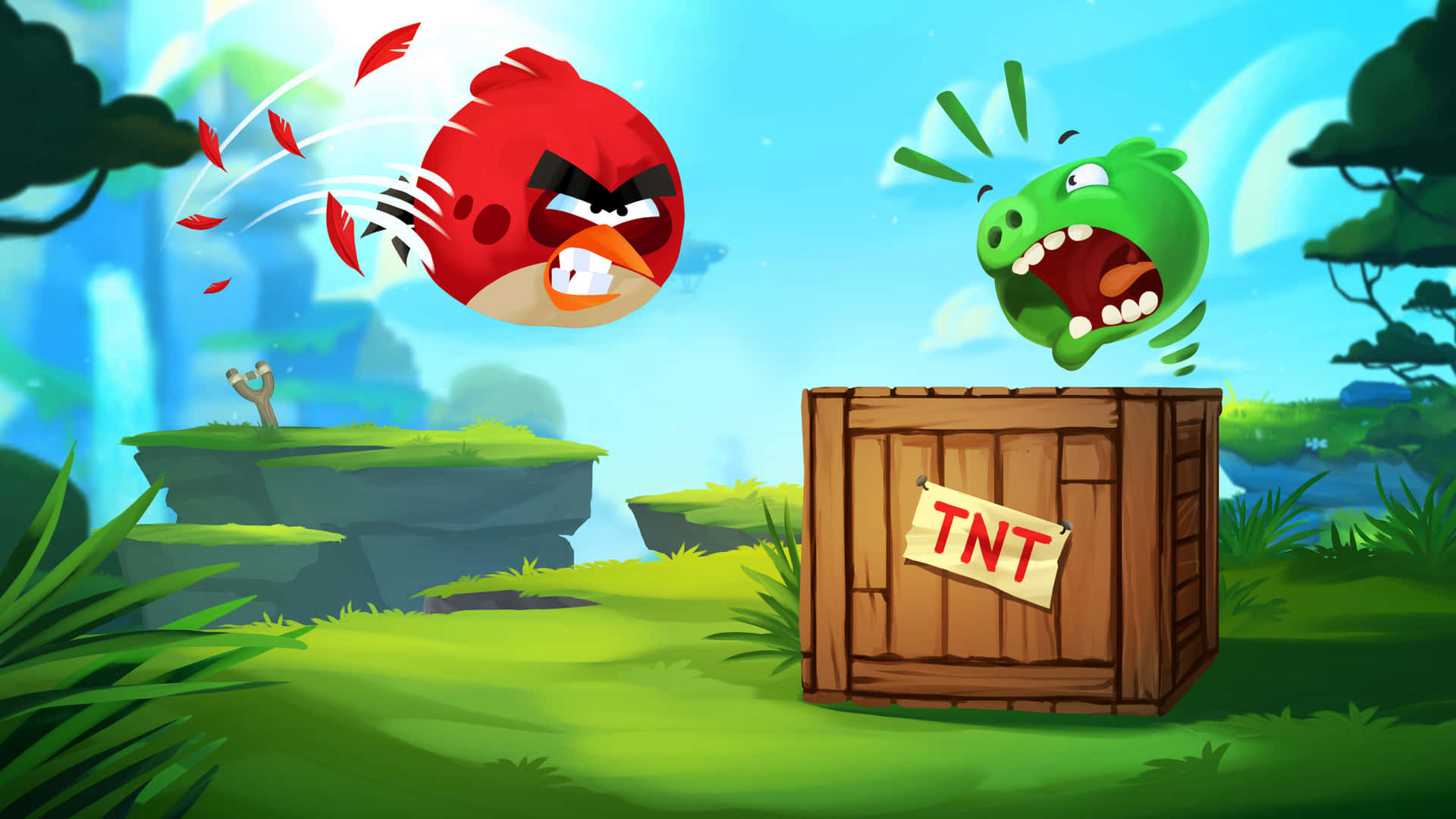 Angry Birds Red Bird Attacks Green Pig