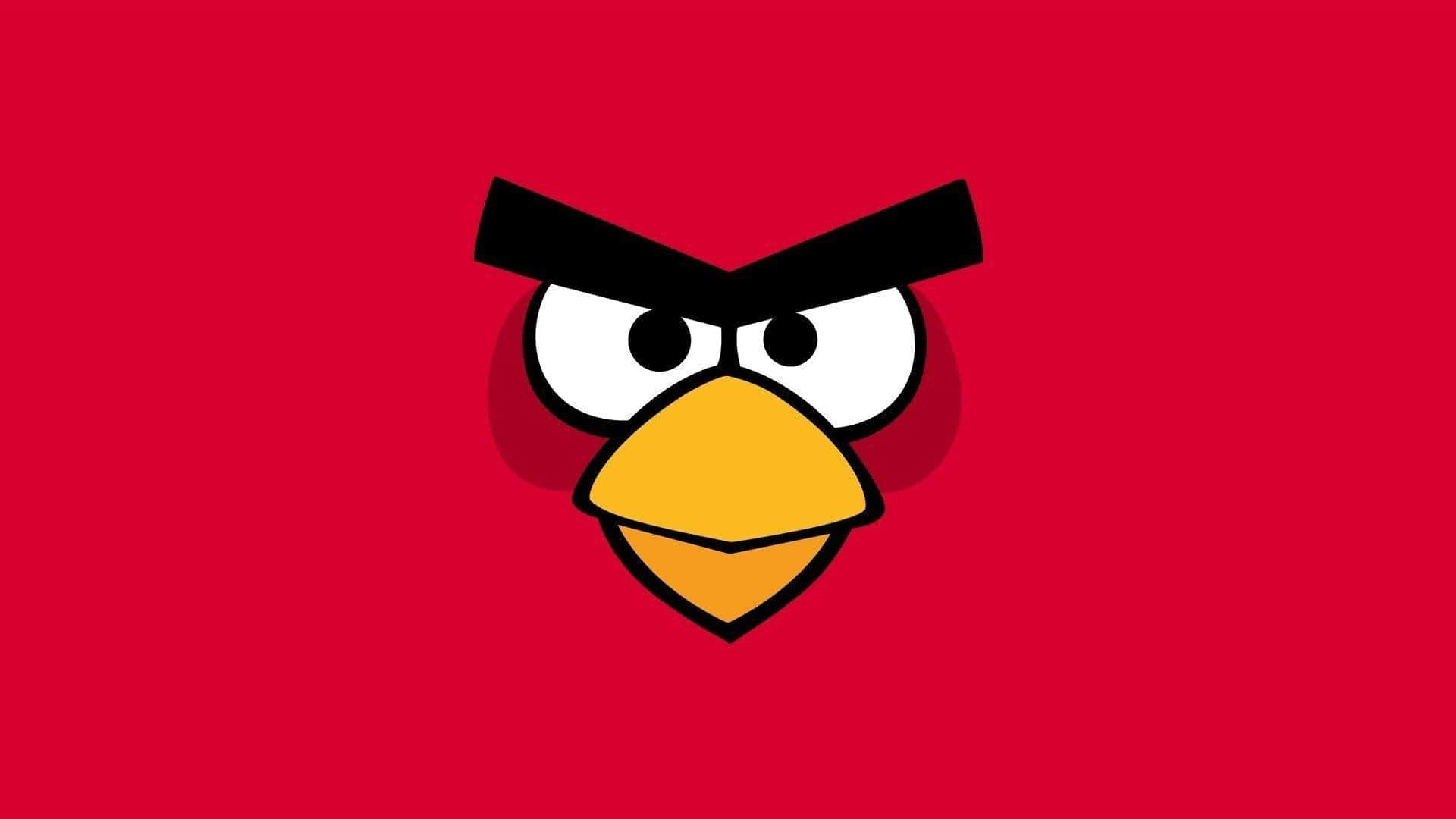 Angry Birds Red Character Background