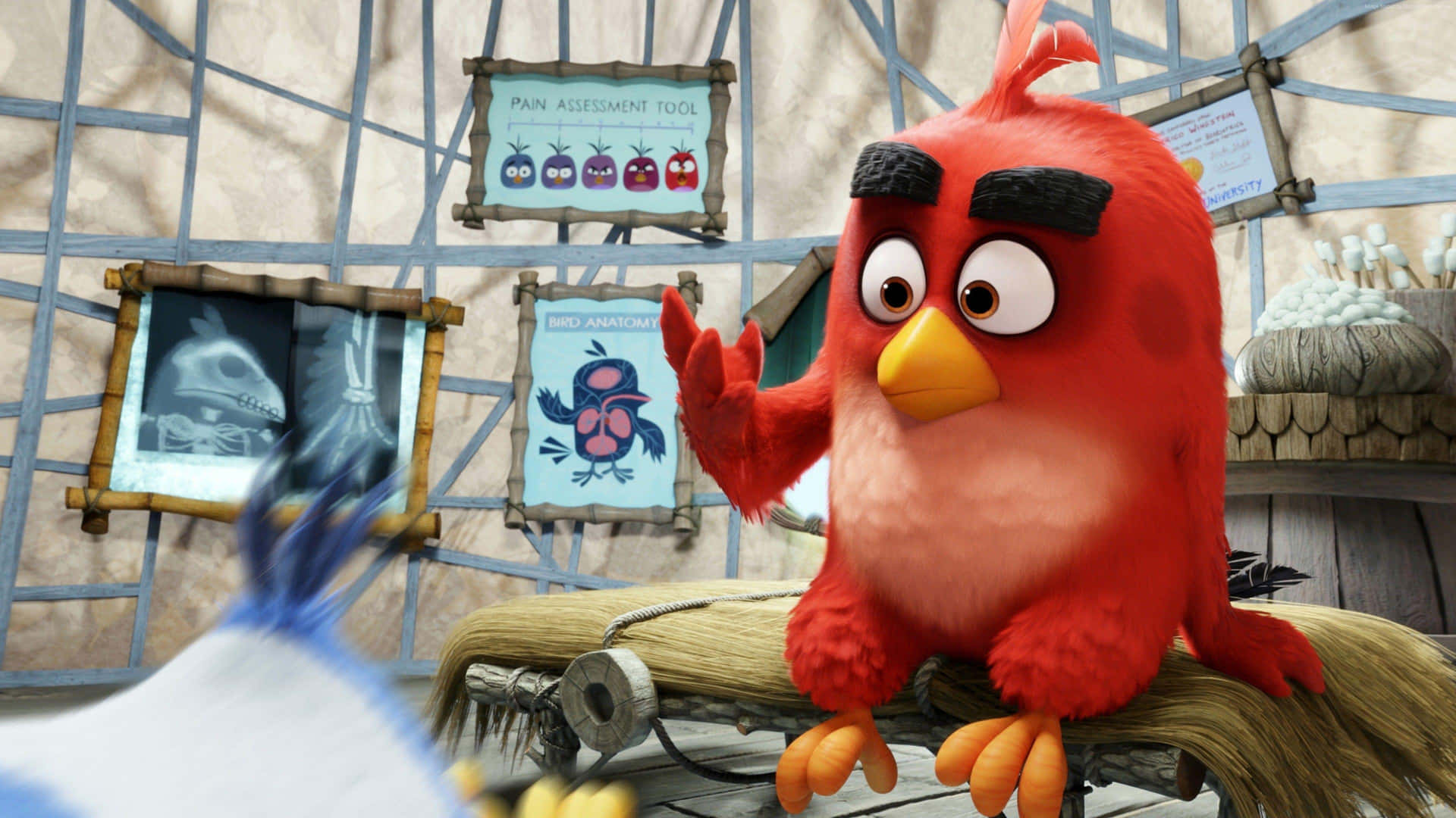 Angry Birds Red Character In Office Background