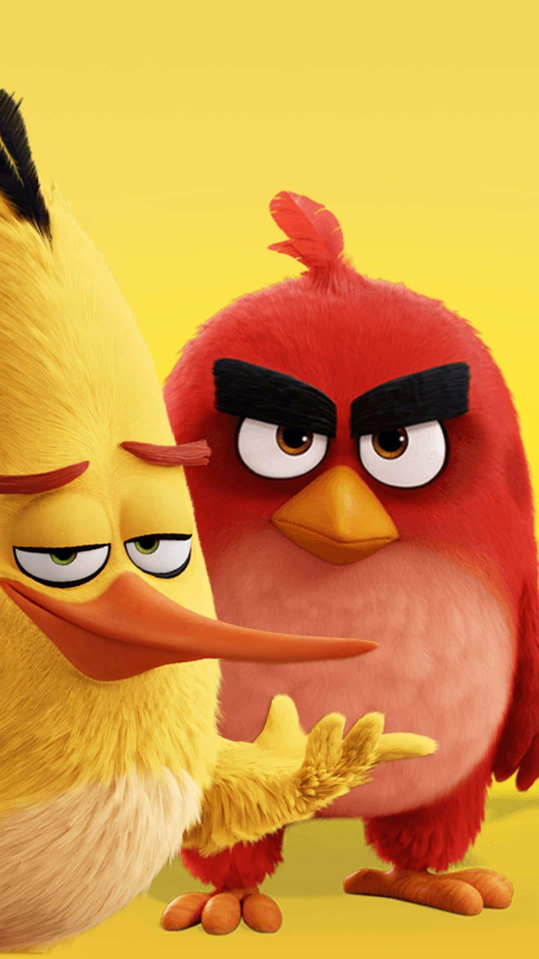 Angry Birds Redand Chuck Background