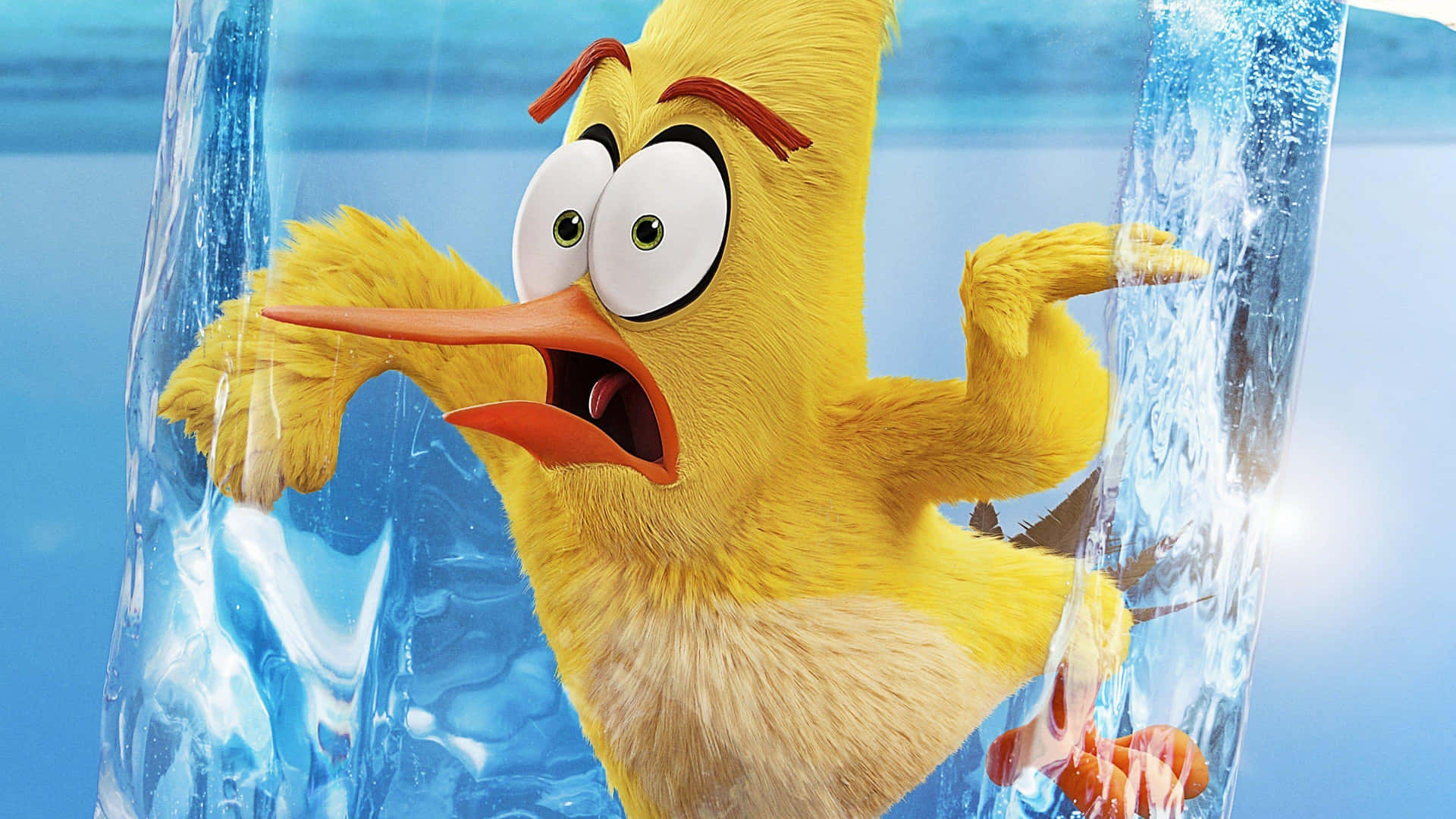 Angry Birds Yellow Character Shock Background