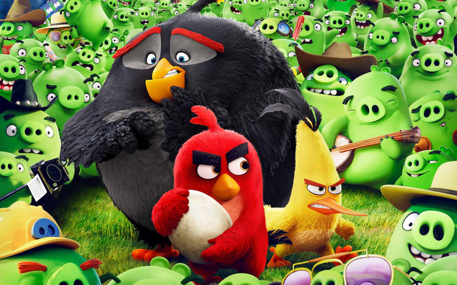 Angry Birdsand Green Pigs Faceoff Background