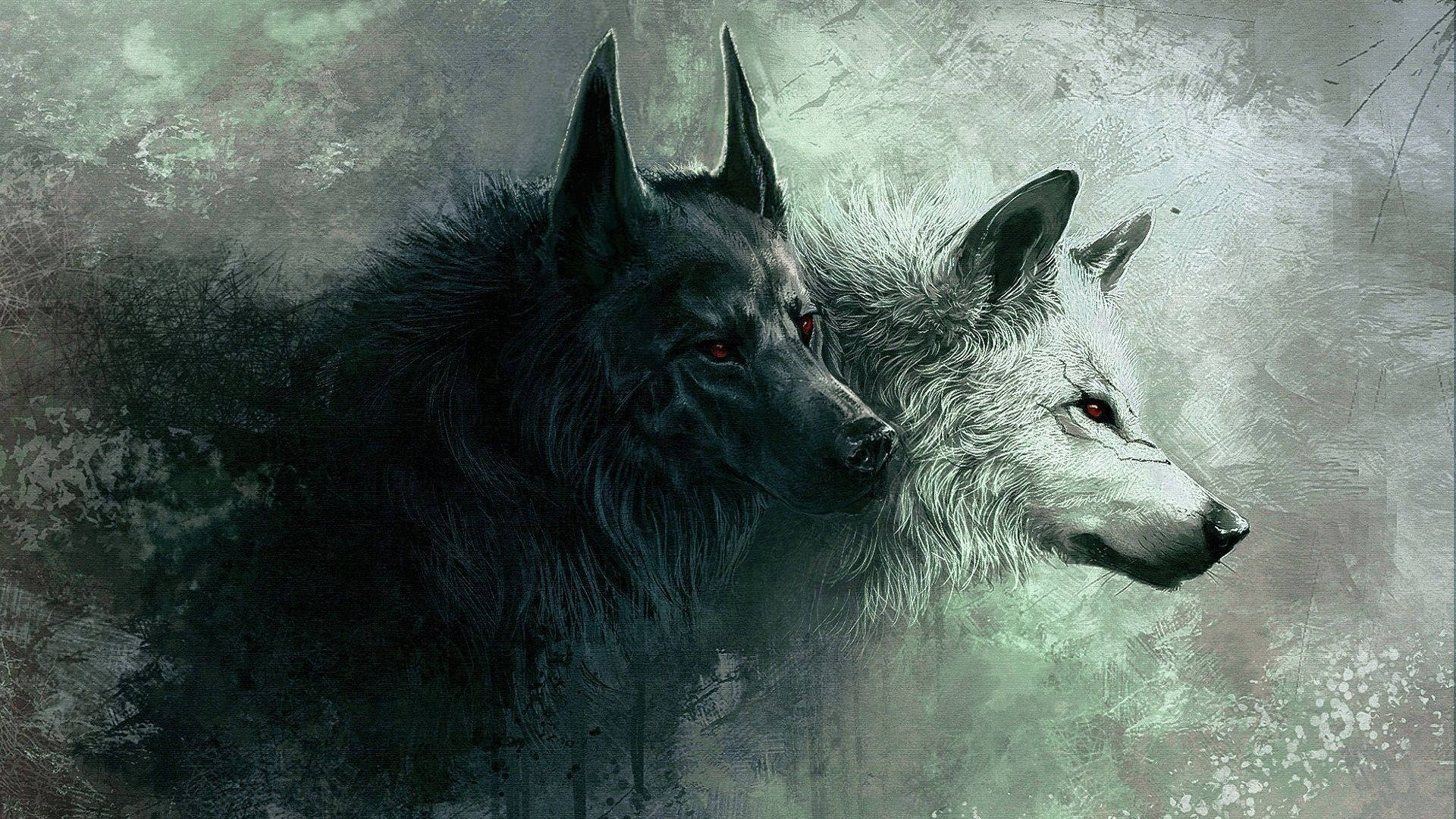 Angry Black And White Wolves