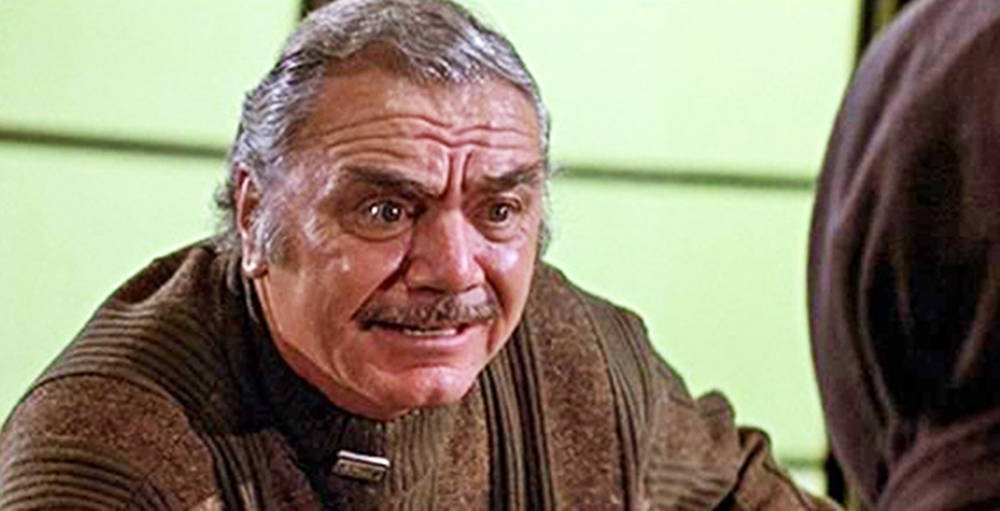 Angry Ernest Borgnine Movie