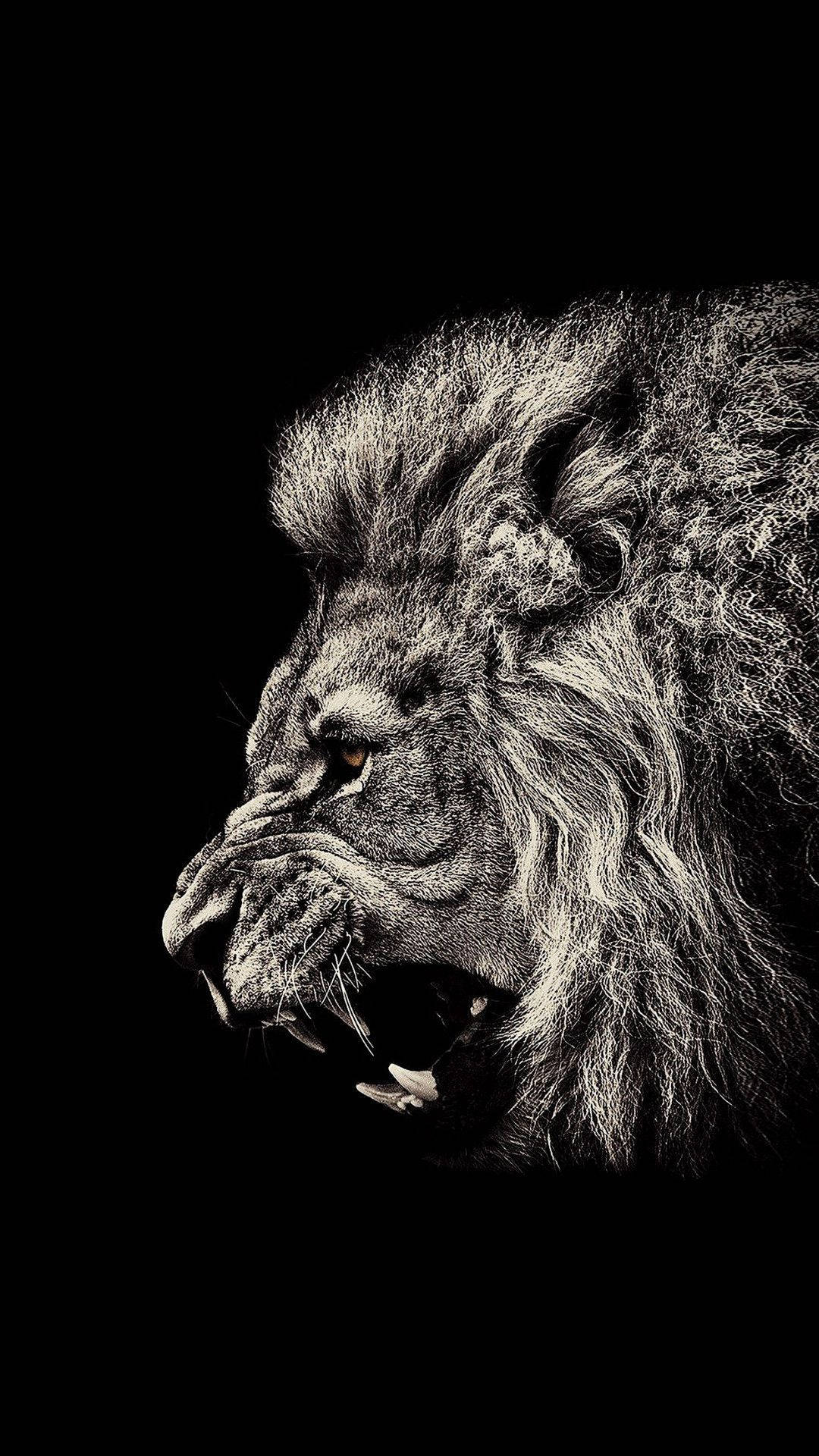 Angry Lion Iphone Art Background