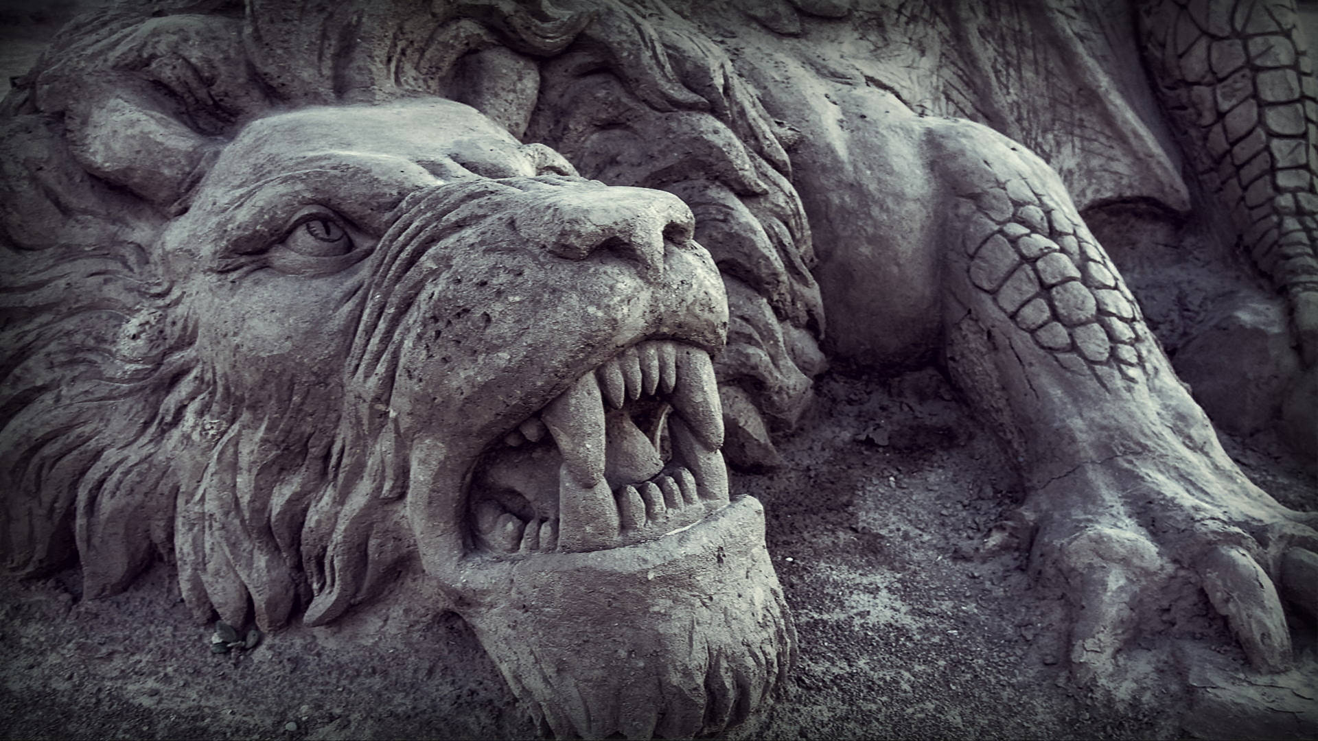 Angry Lion Sand Sculpture Background