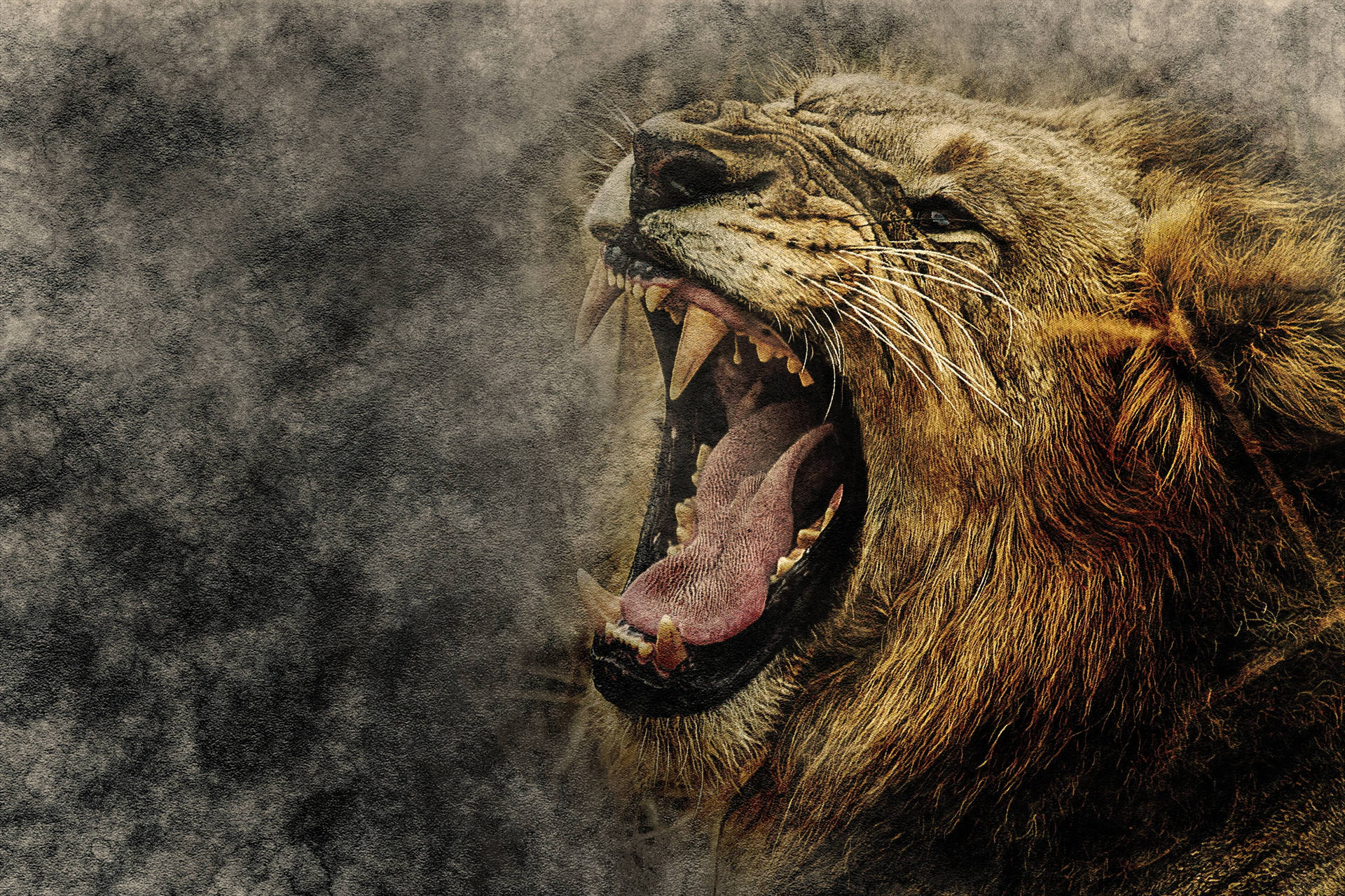 Angry Lion Smoky Background