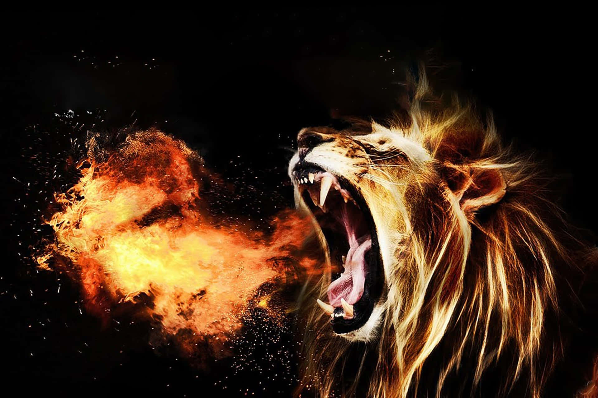 Angry Overt Lion Background