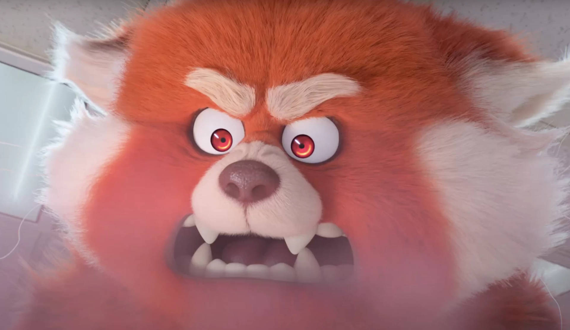 Angry Red Panda In Turning Red