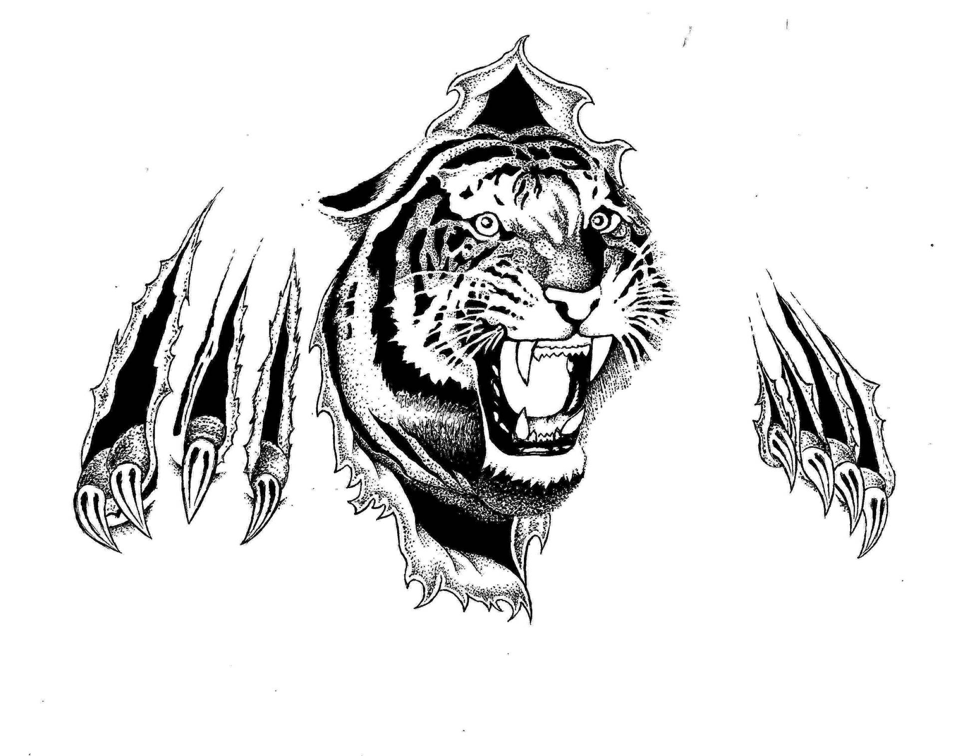 Angry Tiger Hd Tattoo
