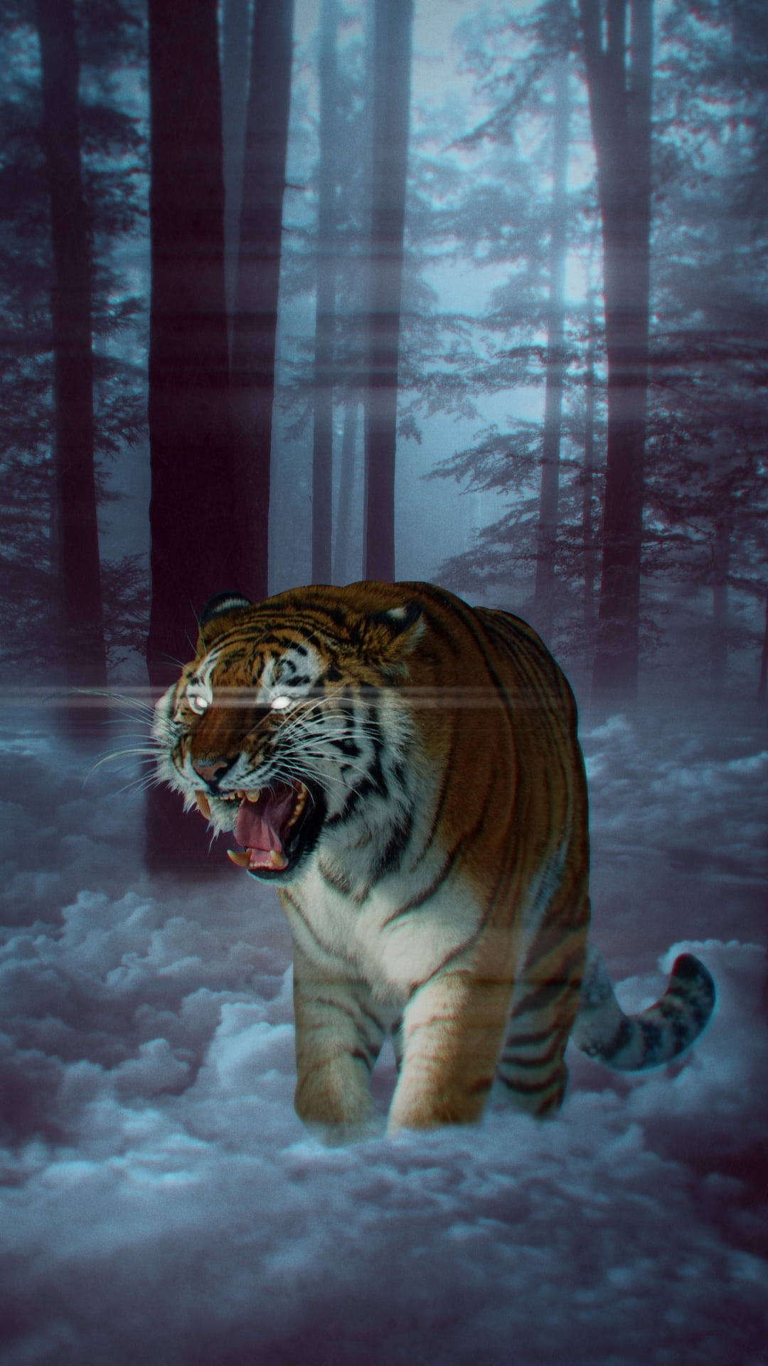 Angry Tiger In Forest