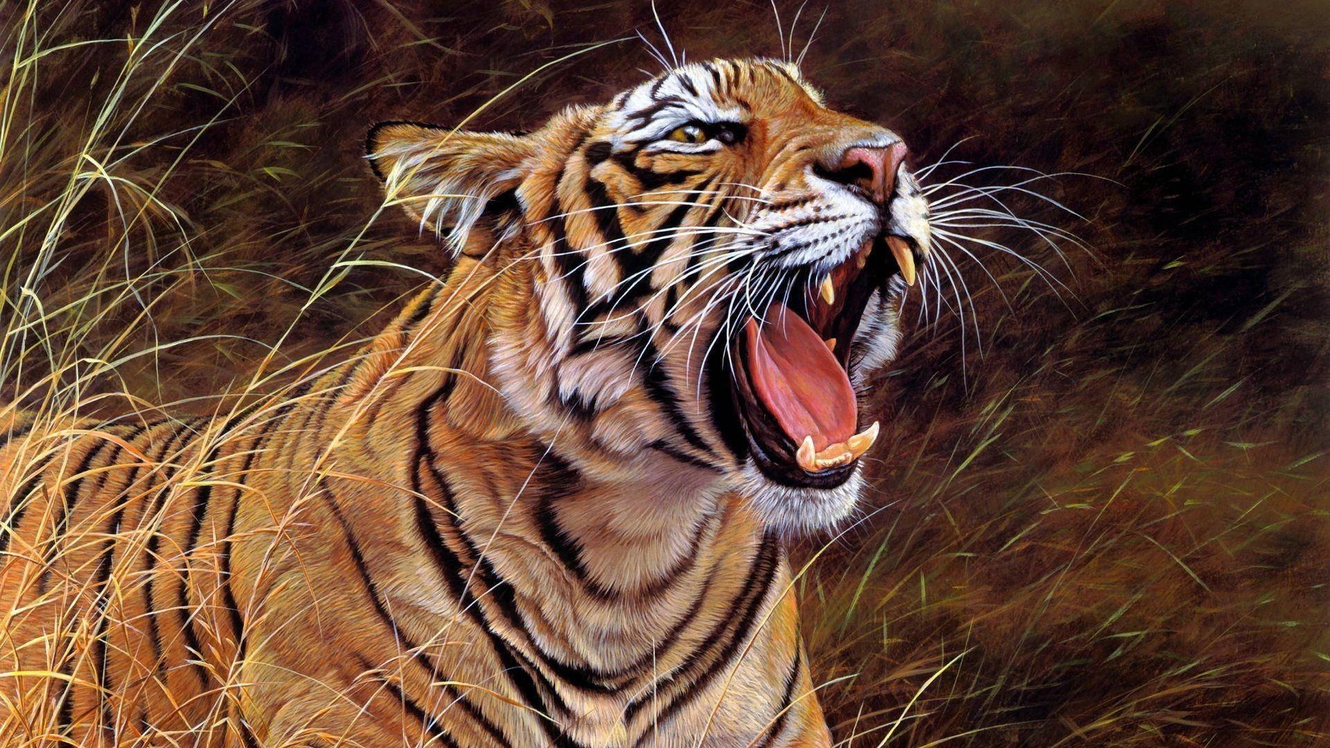 Angry Tiger Roar