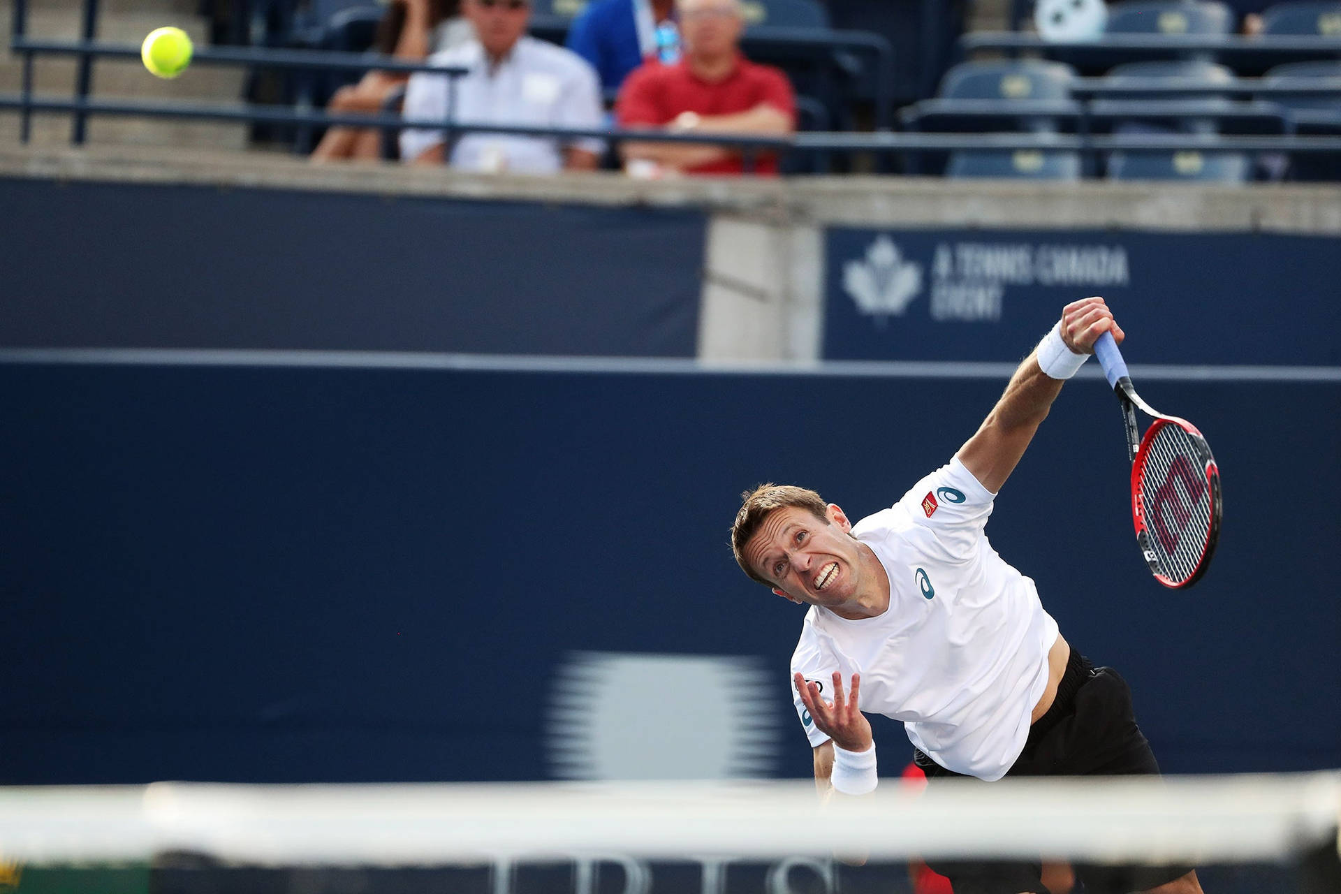 Anguished Daniel Nestor