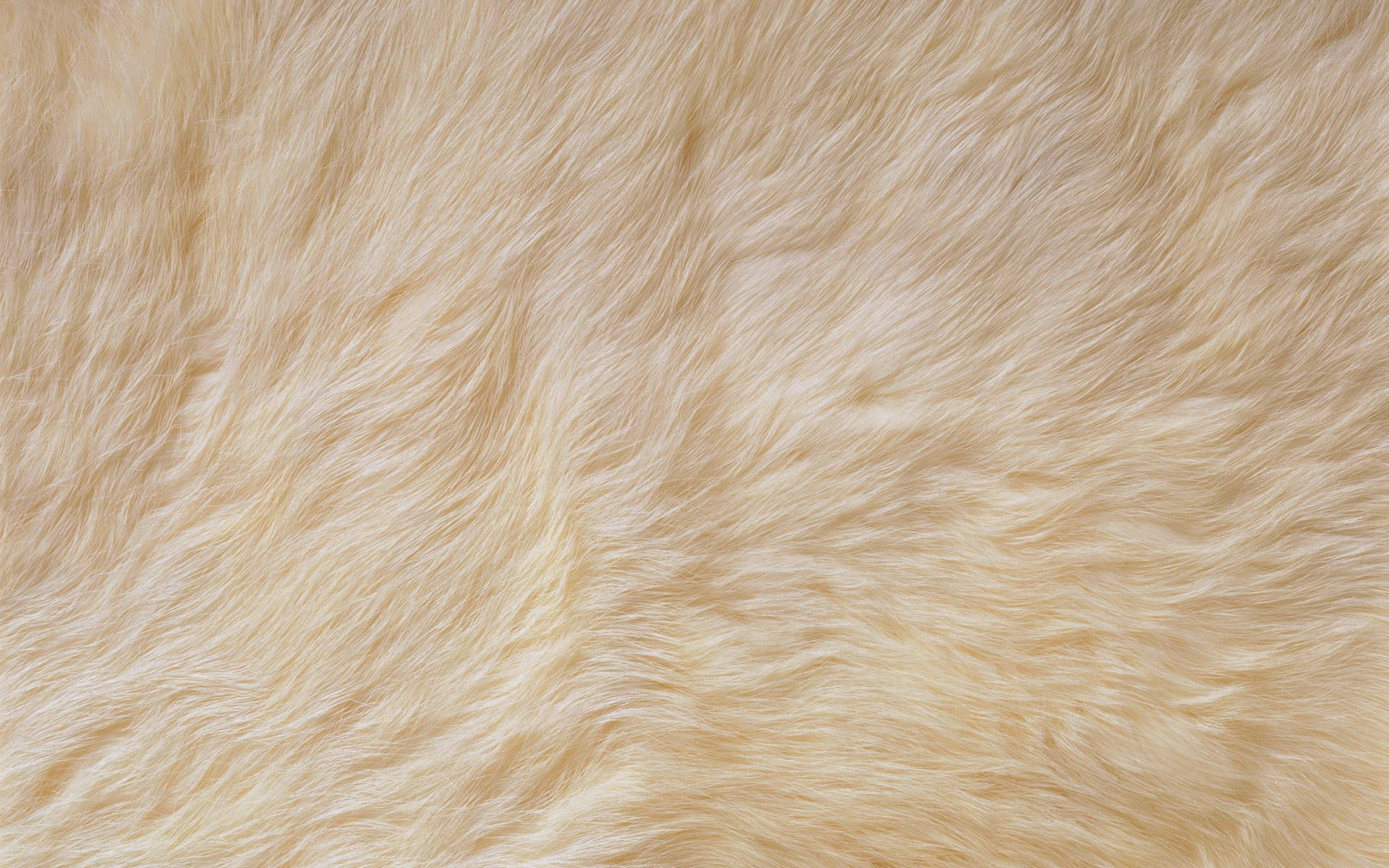 Animal Fur For Cushion Background