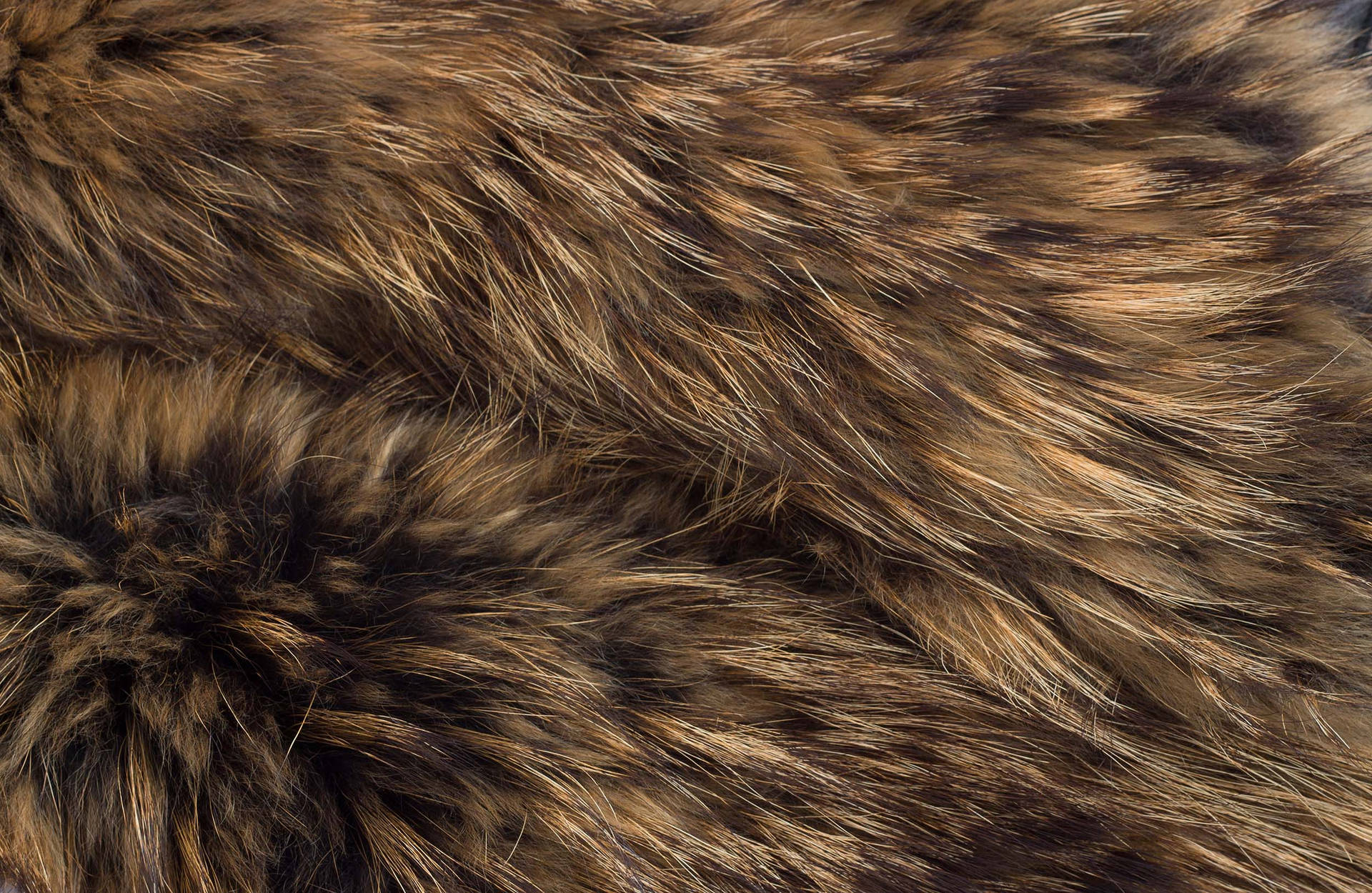 Animal Fur In Brownish Gray Color Background