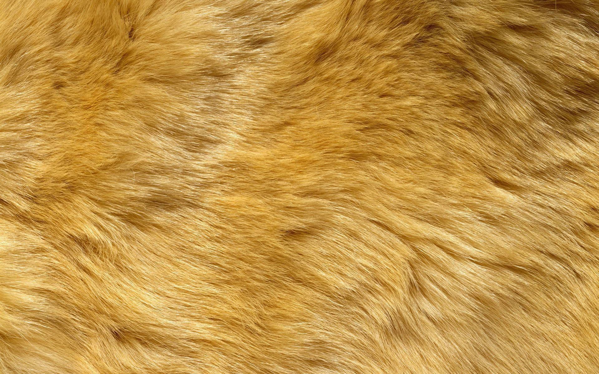 Animal Fur In Yellow