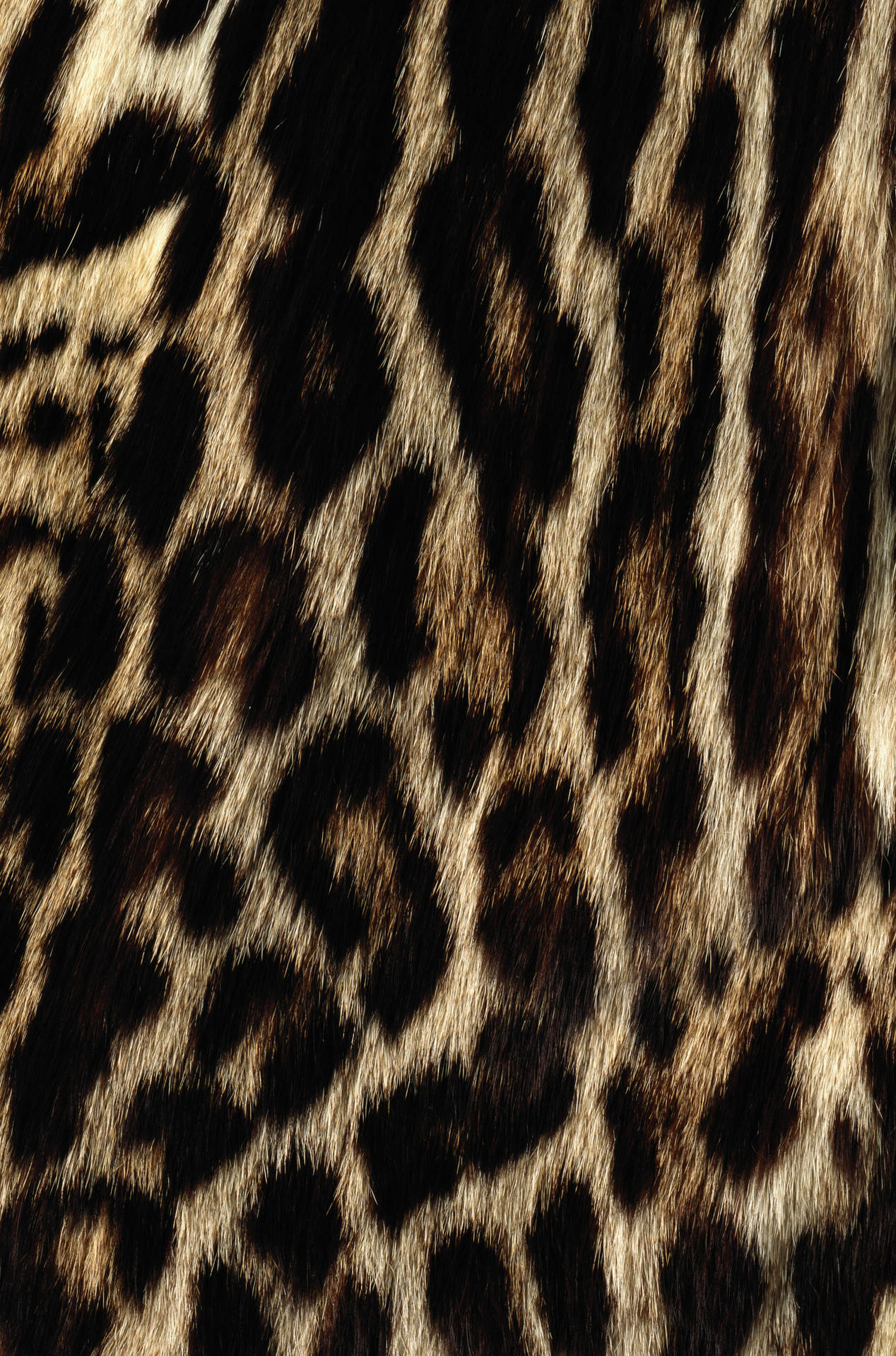 Animal Fur With Prints Background