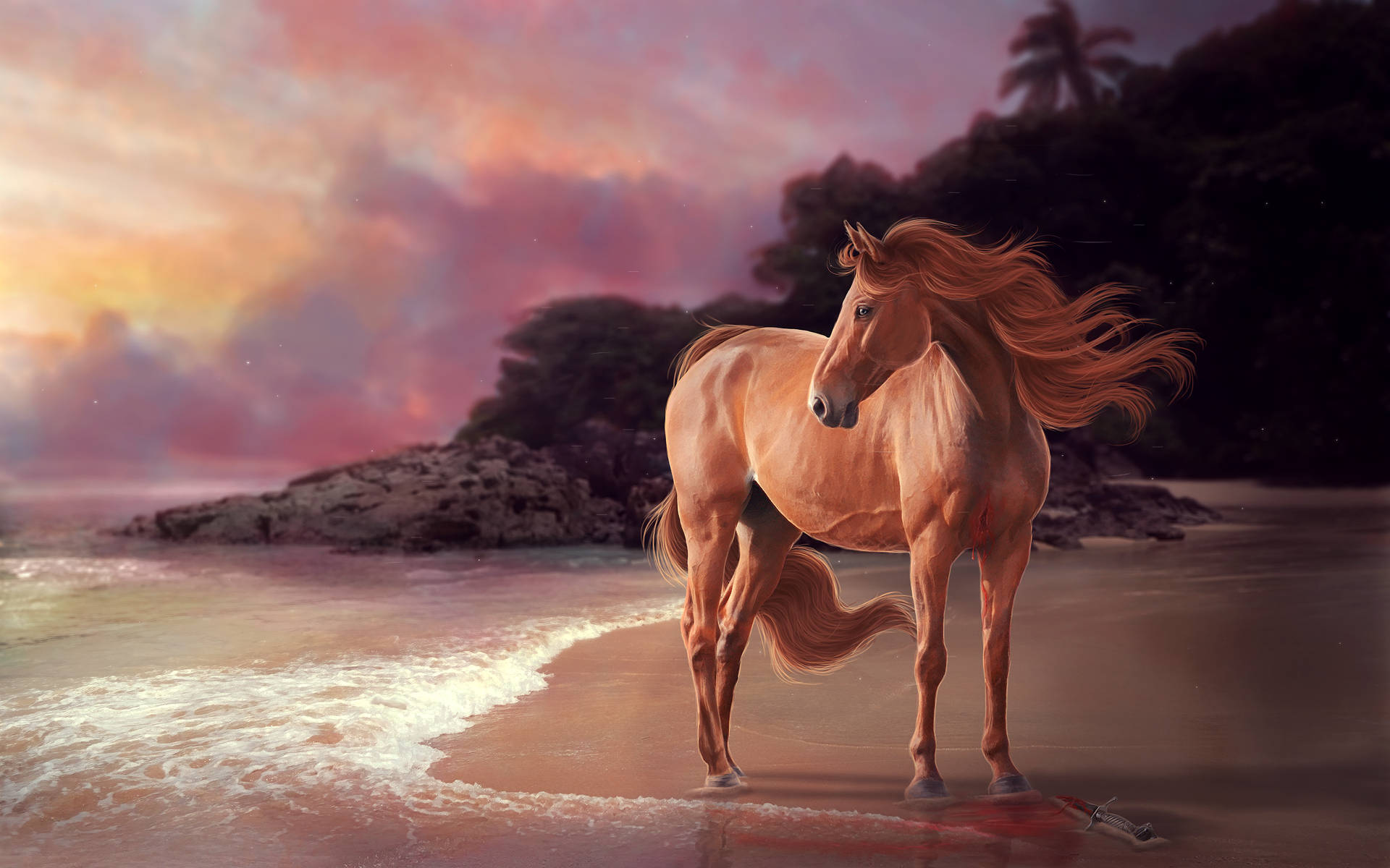 Animal Horse Beach Sunset Hd Wallpaper | Background Image Background