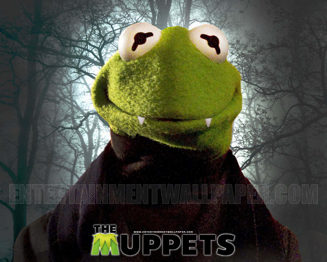 Animal Muppet - Come Join The Fun! Background