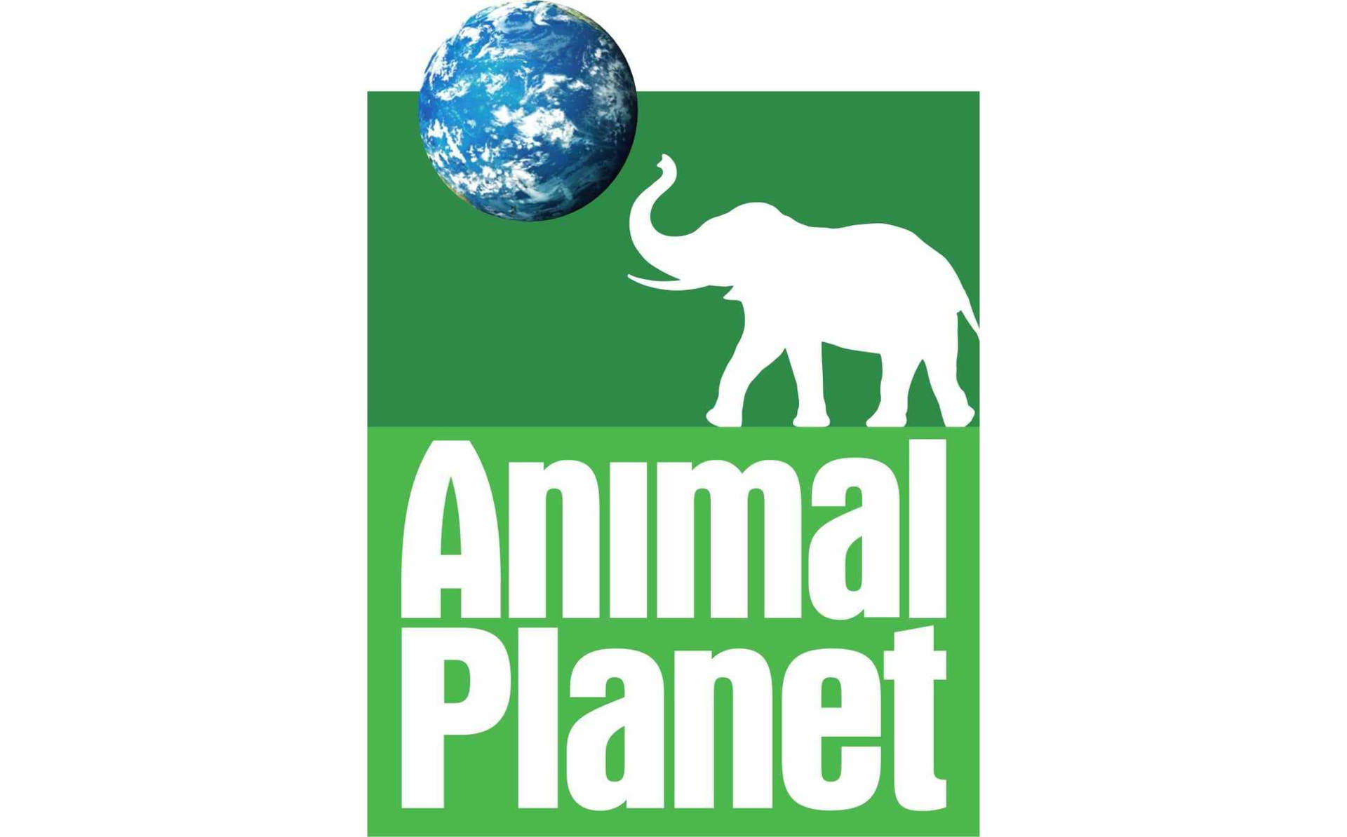 Animal Planet Elephant Logo Background