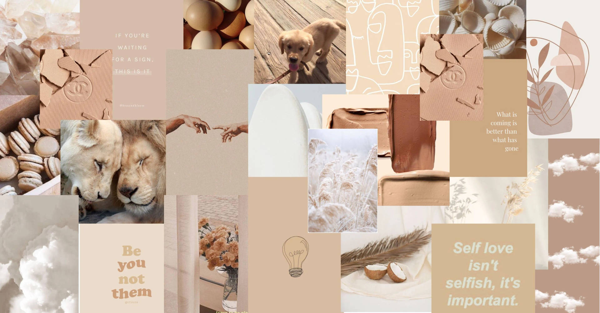 Animals Beige Aesthetic Collage