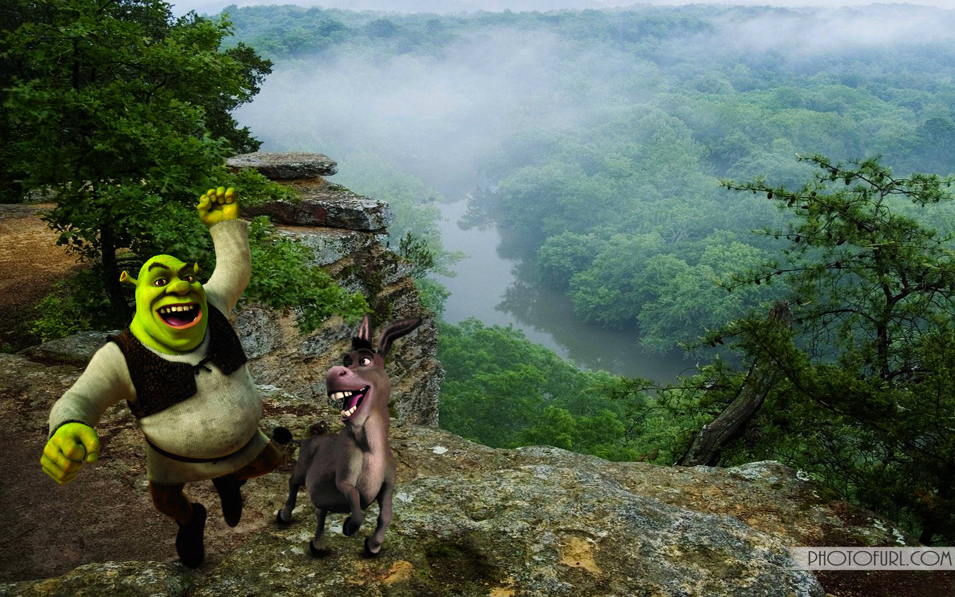 Animated Cartoon Shrek And Donkey Background Background