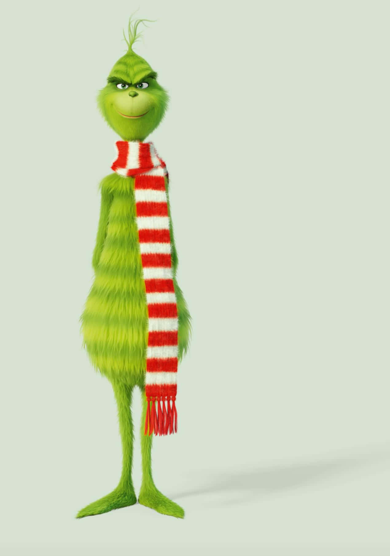 Animated Film Cute Grinch Long Scarf Background