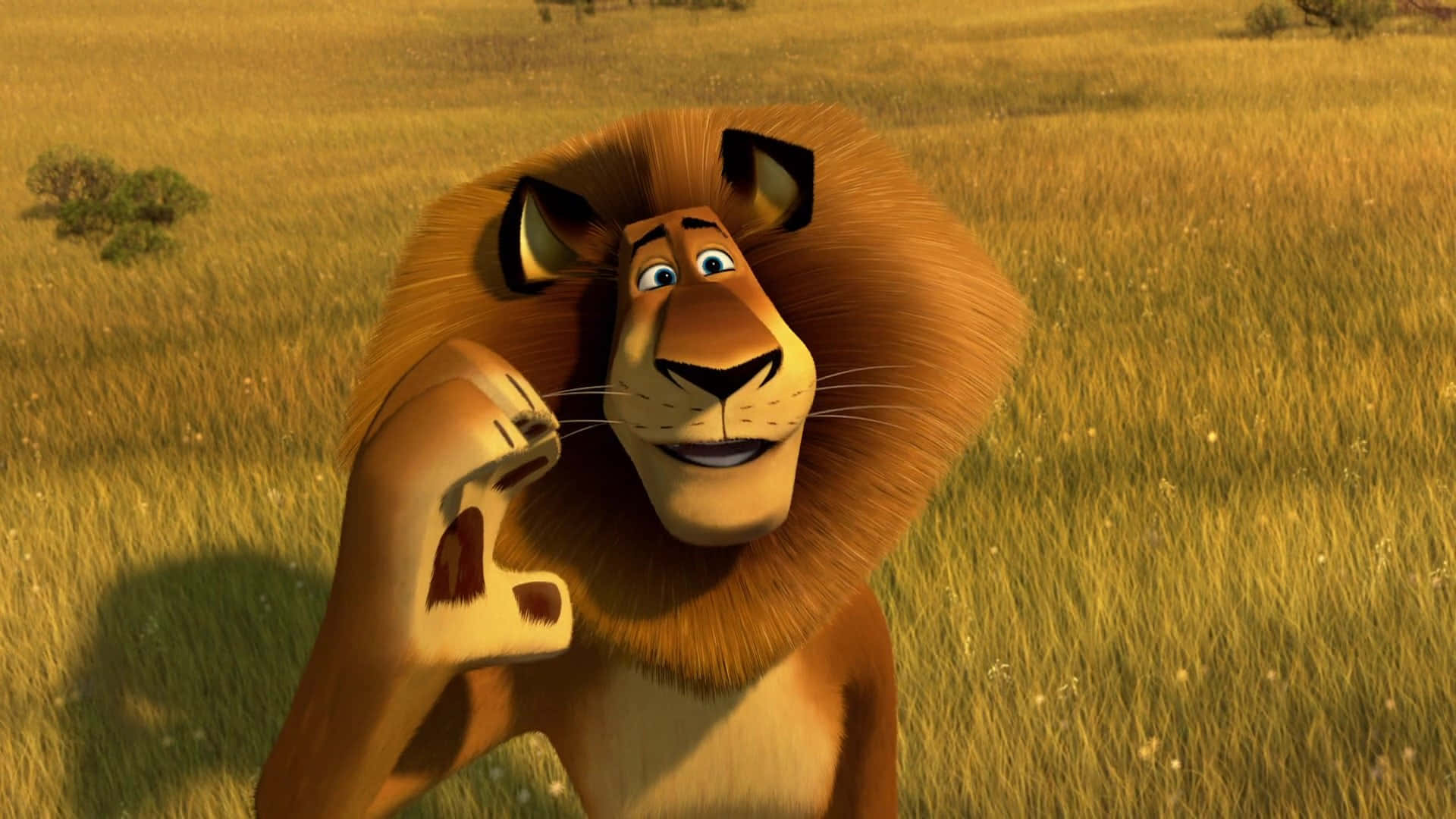 Animated Fun - Main Characters From Madagascar 3: Europe's Most Wanted Background