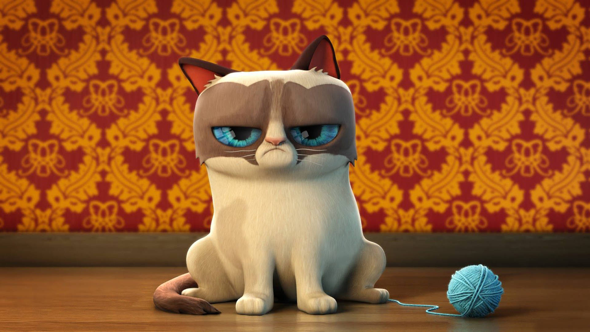 Animated Grumpy Cool Cat Background