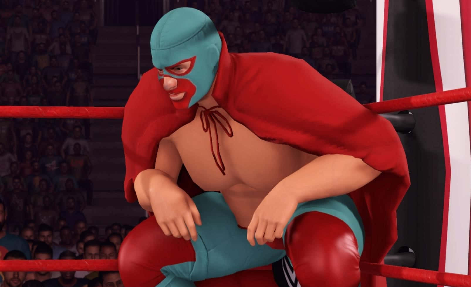 Animated Luchadorin Ring Background