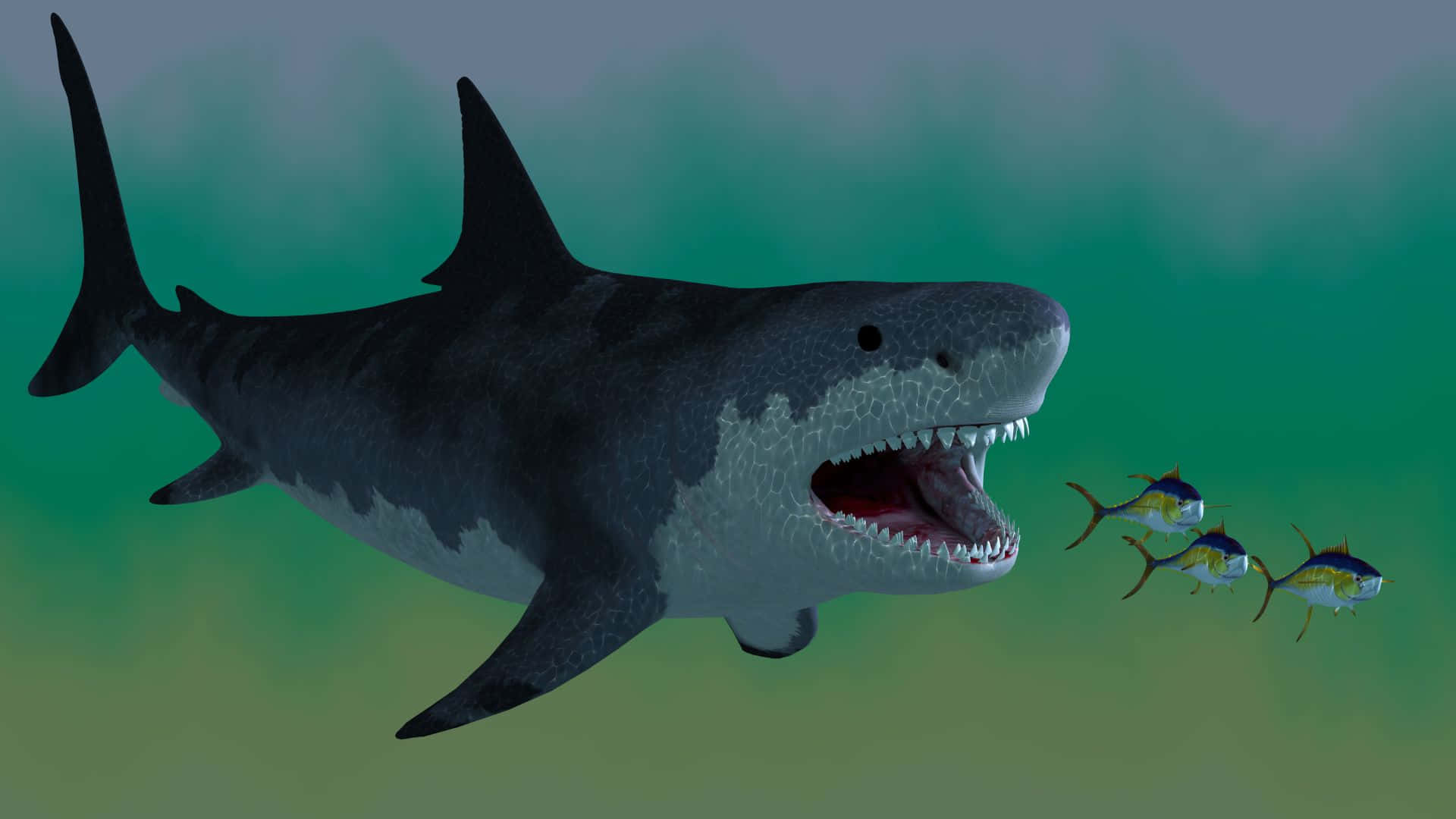 Animated Monster Black Shark