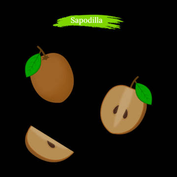 Animated Sapodilla Fruits Background