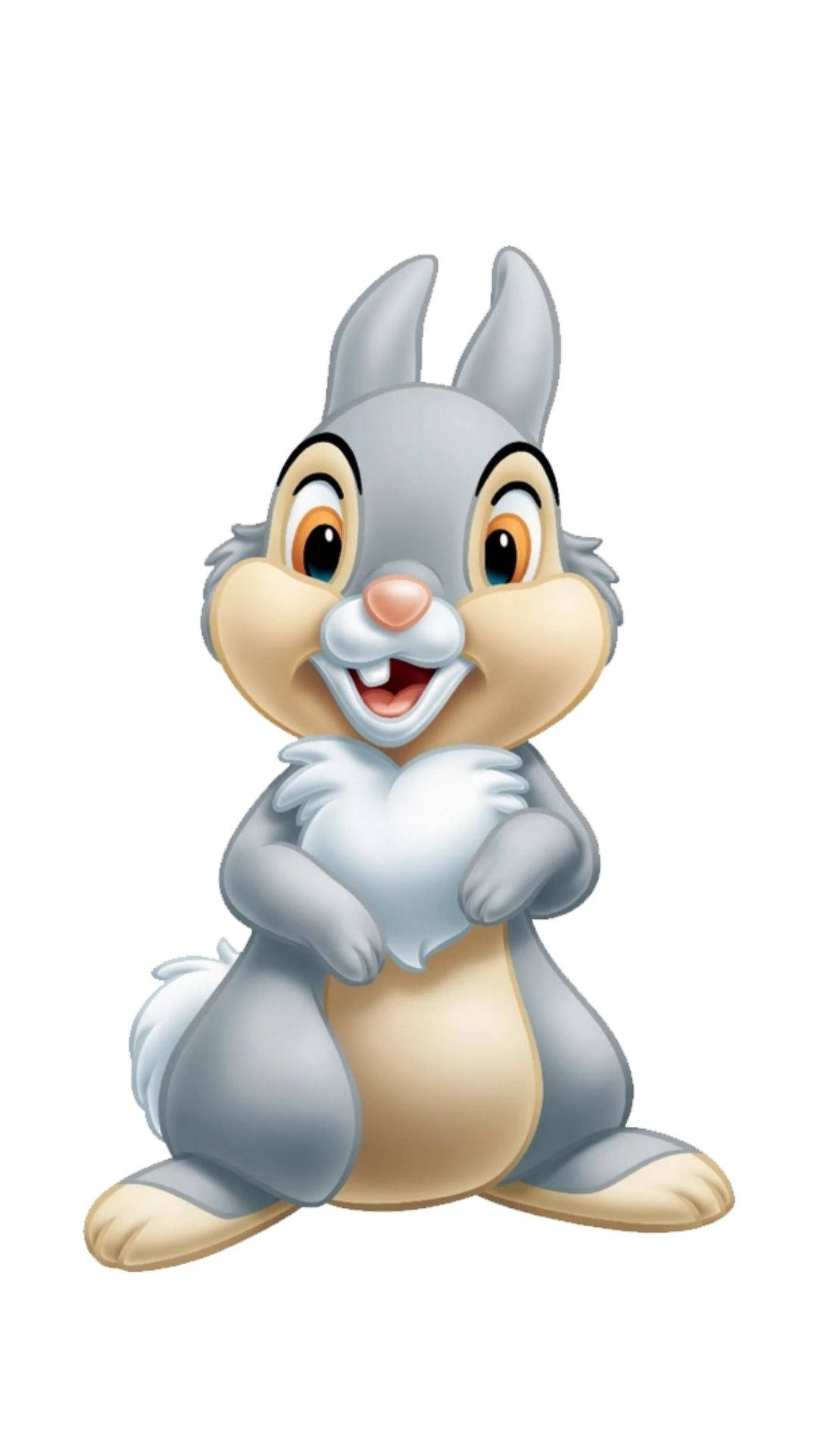 Animated Thumper