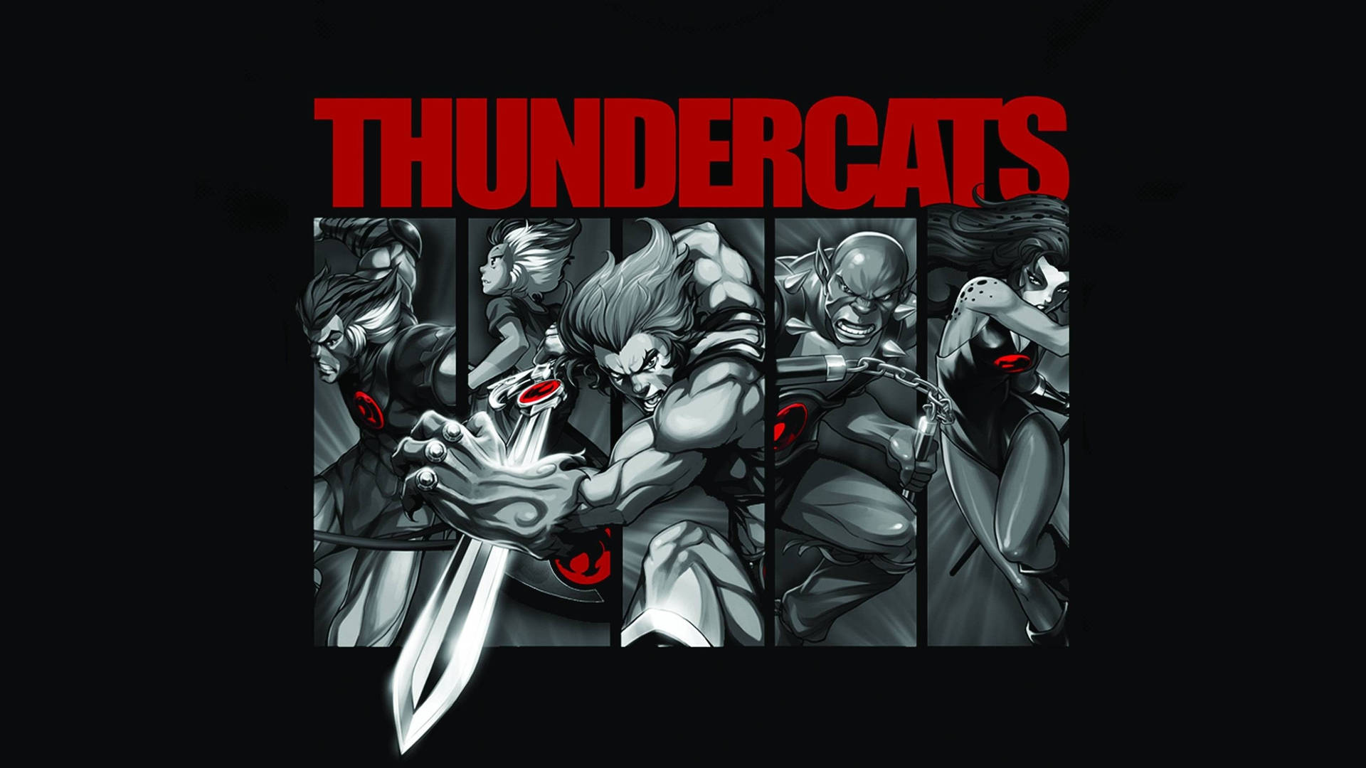 Animated Thundercats Series Background