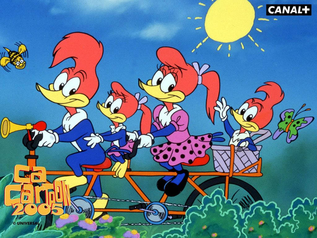 Animation Picture Wallpaper: Woody Woodpecker Wallpaper Background