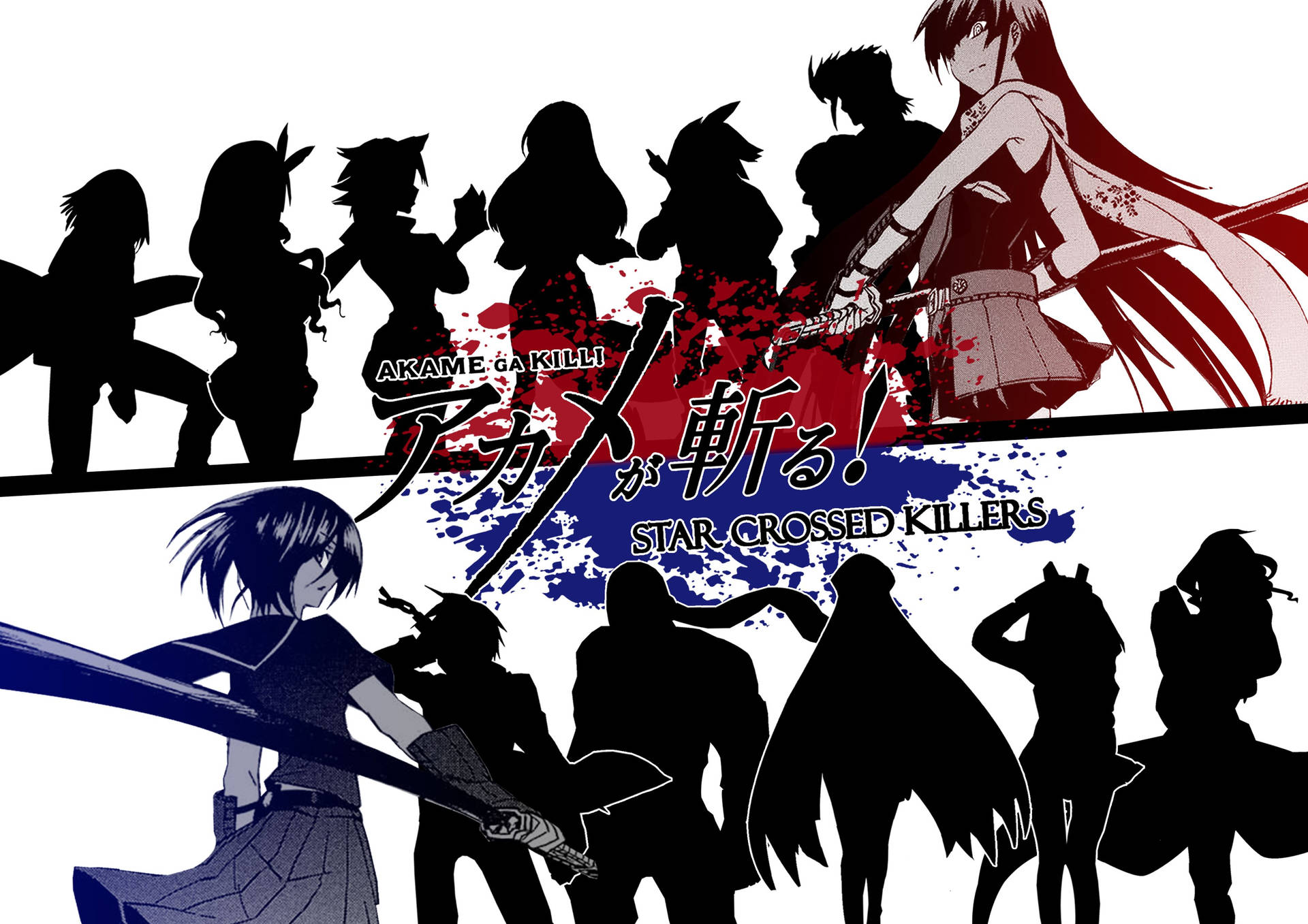Anime Akame Ga Kill Digital Poster Background