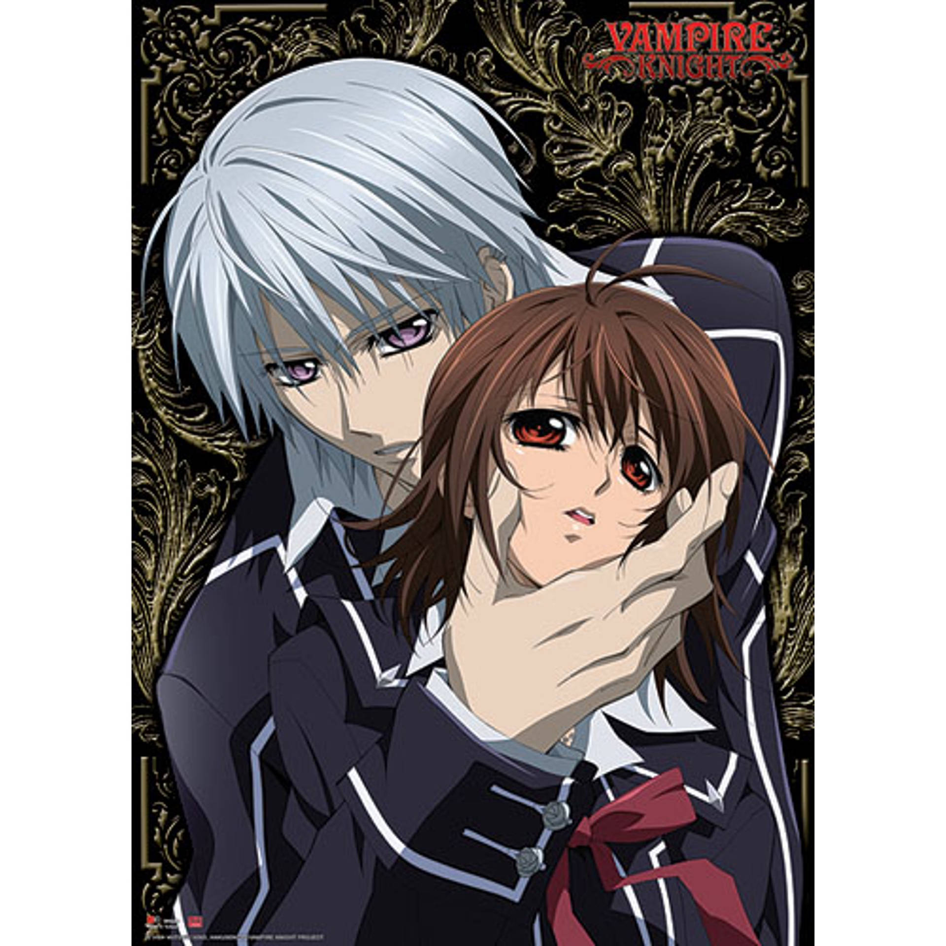 Anime Couple Vampire Knight Background