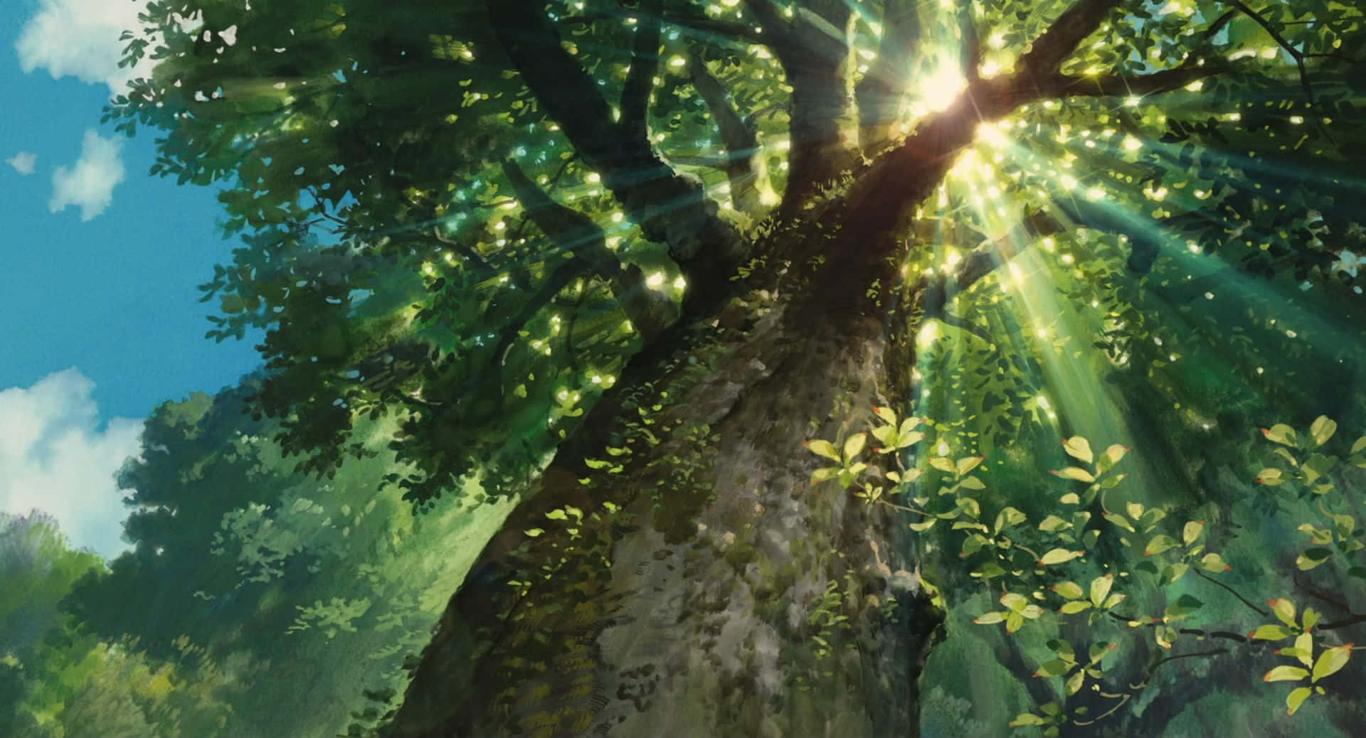 Anime Forest Tree Background