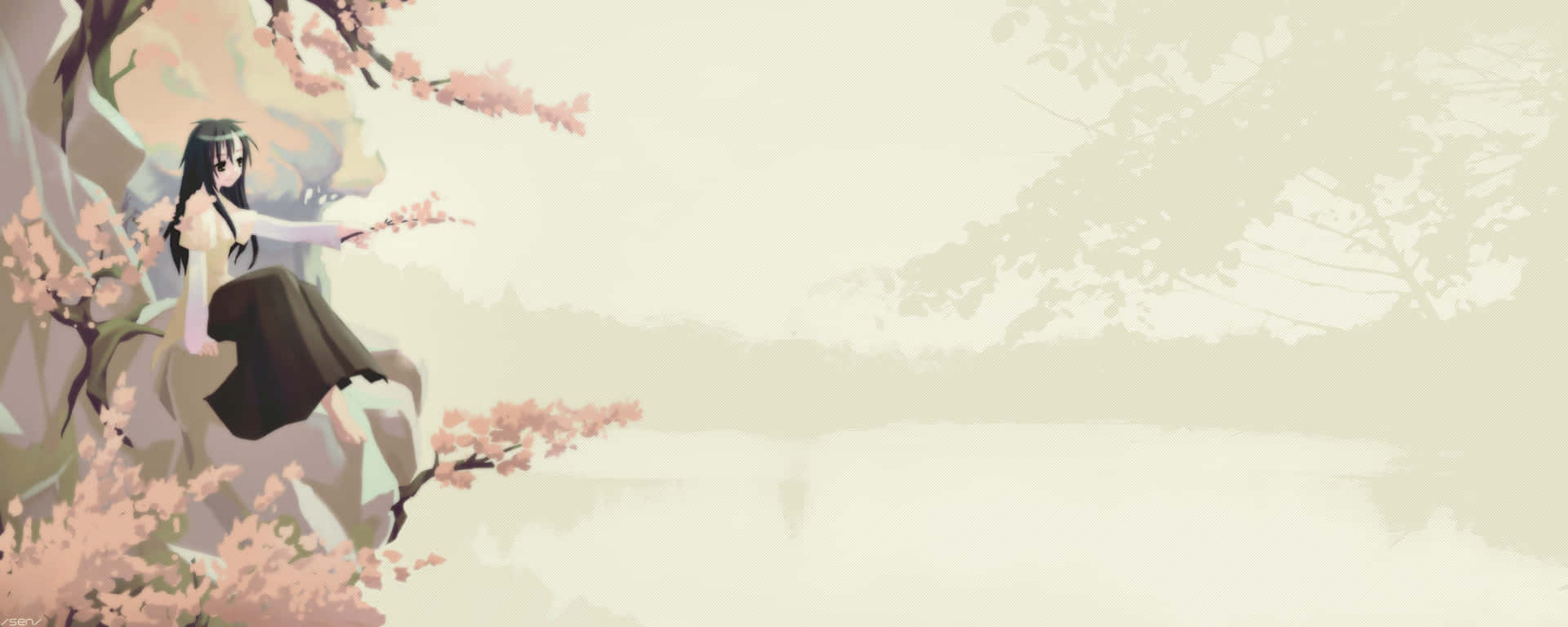 Anime Girl Cherry Blossom Tree Background