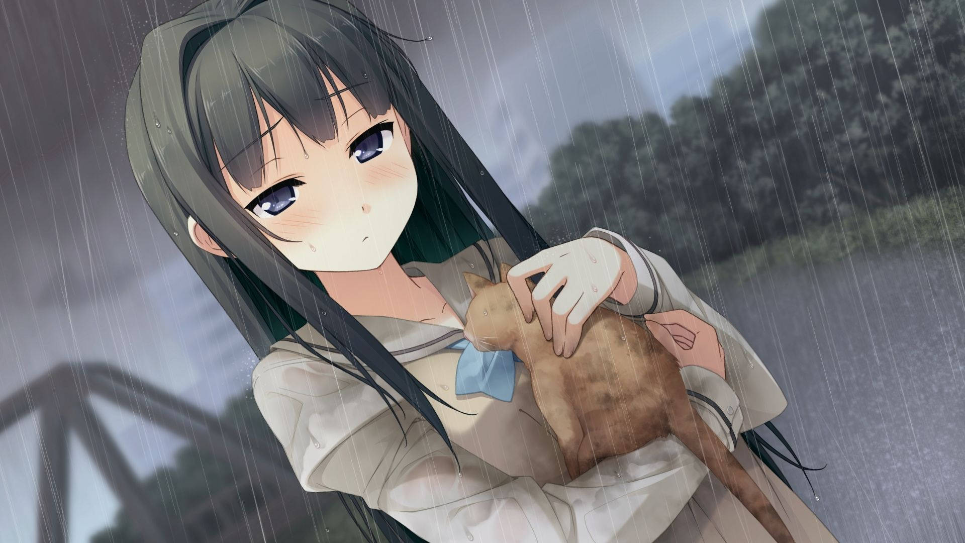 Anime Girl Holding Cat Nightcore