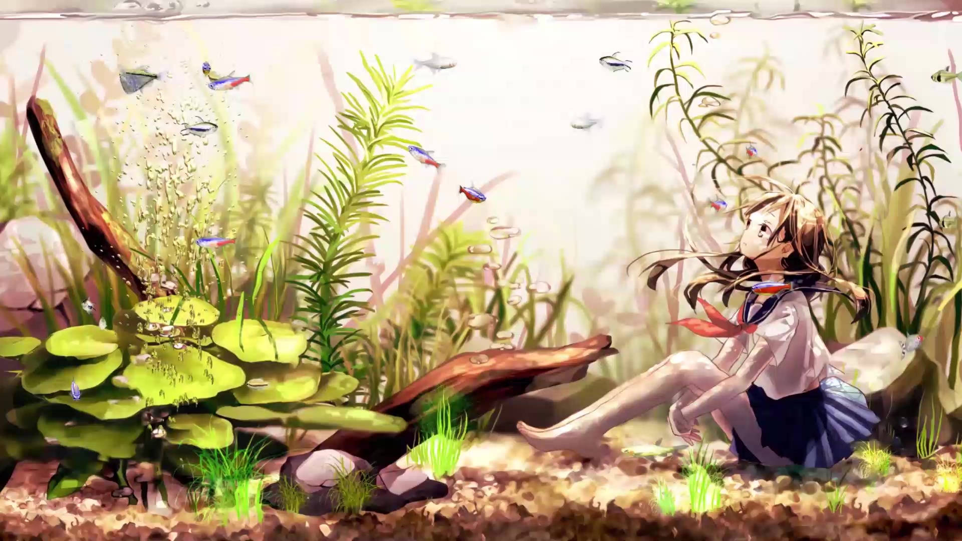 Anime Girl In An Aquarium Background