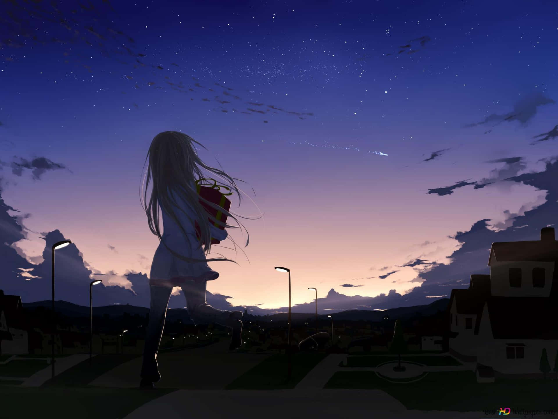 Anime Girl Under Evening Sky