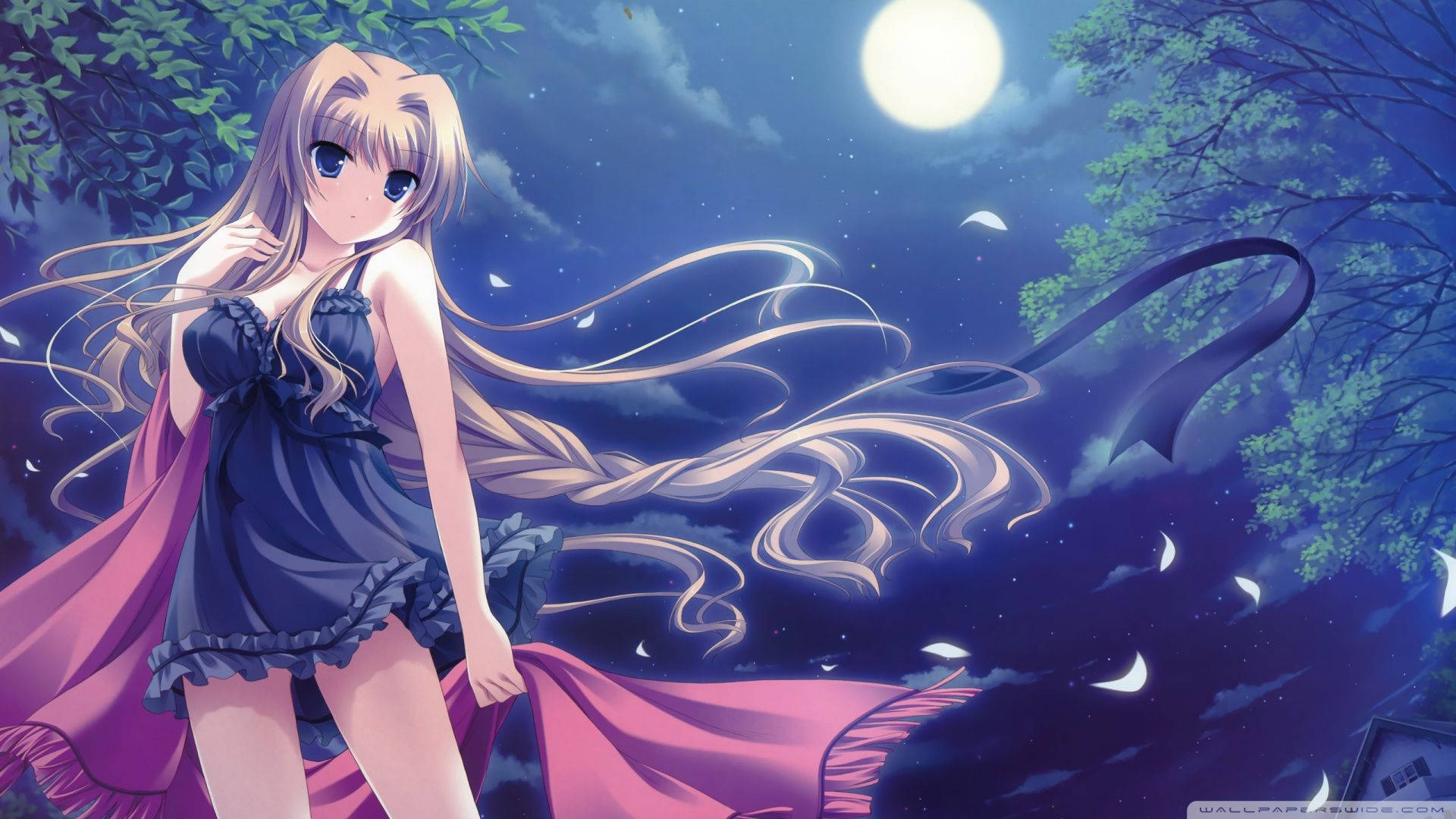Anime Girl Wearing Lingerie Background
